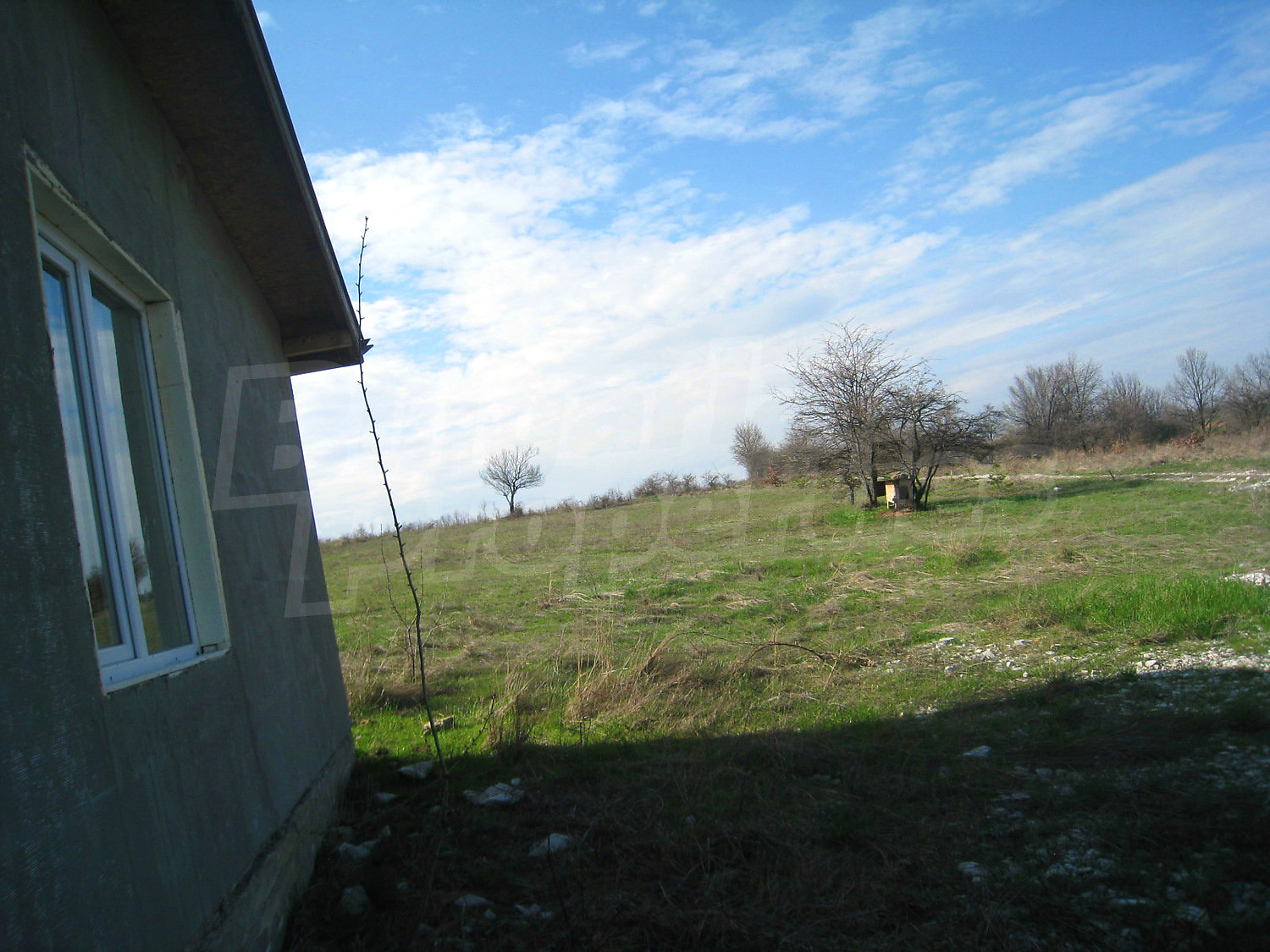 Gallery Picture 6