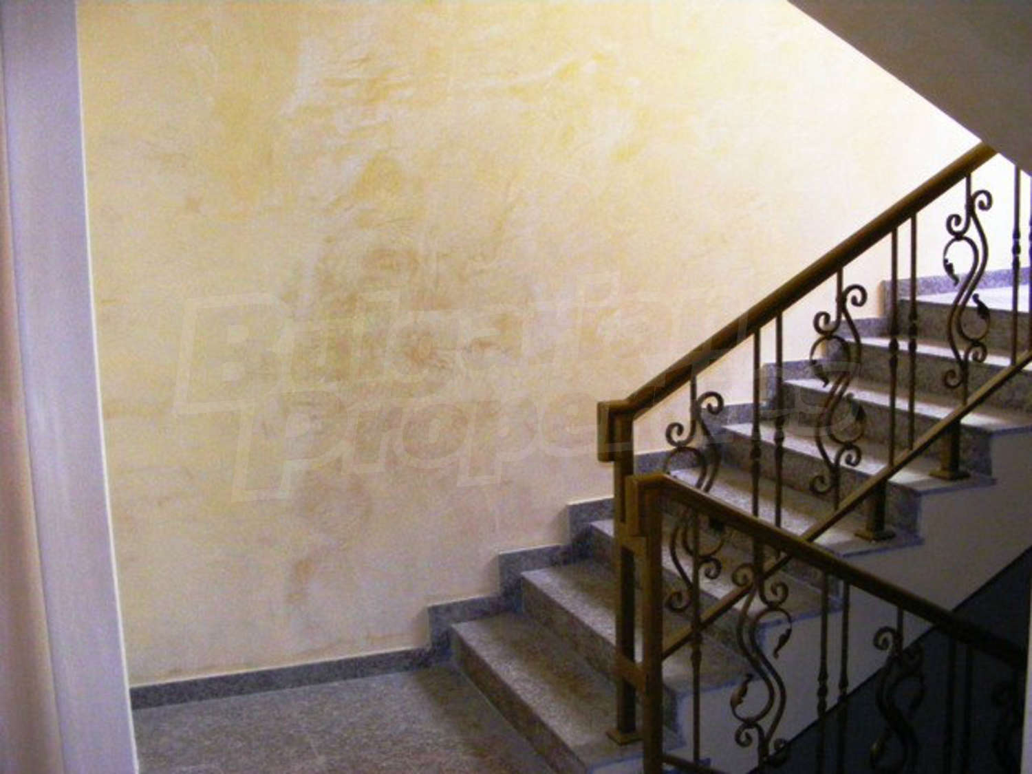 Gallery Picture 16