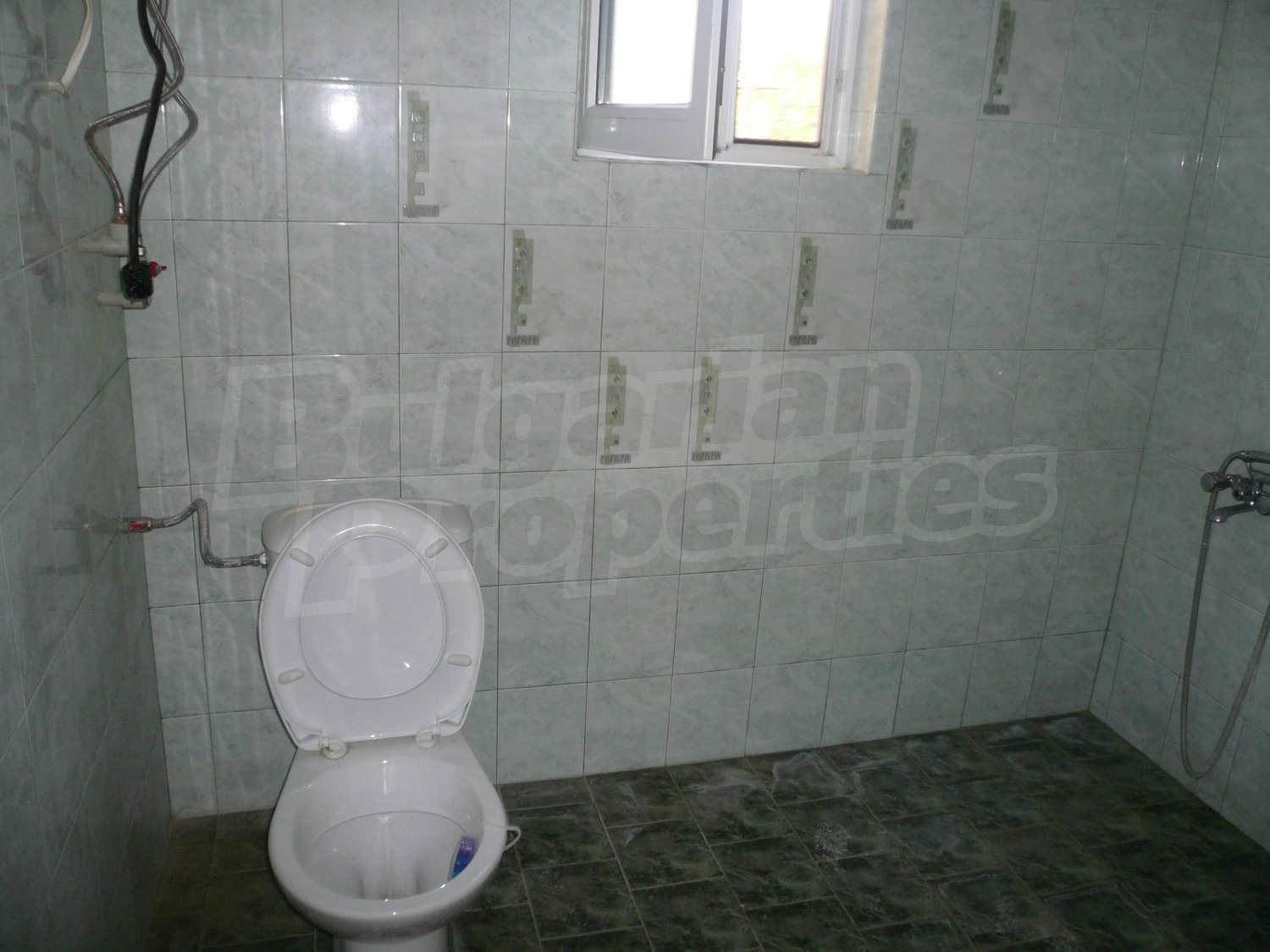 Gallery Picture 15