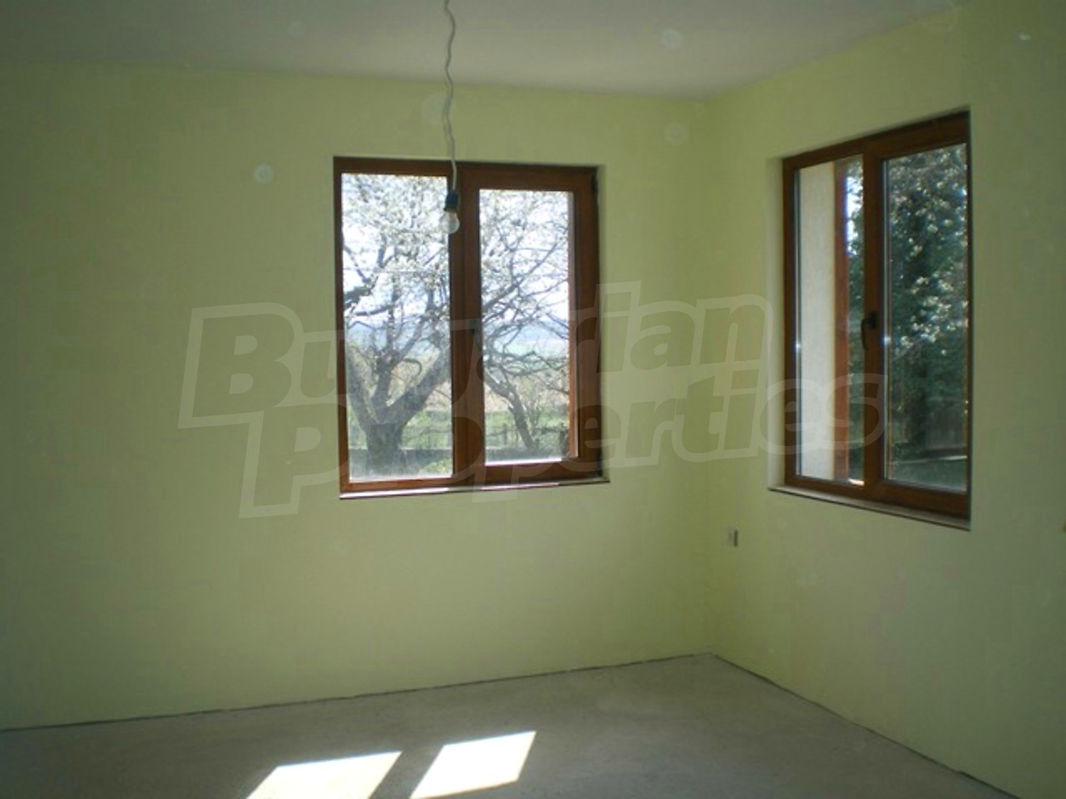 Gallery Picture 11