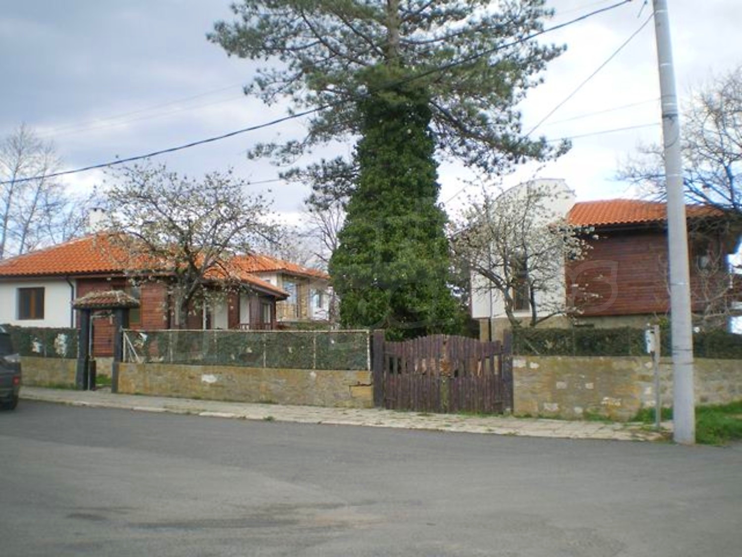 Gallery Picture 16