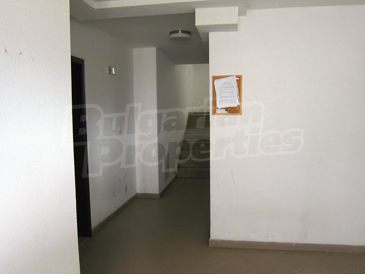 Gallery Picture 17