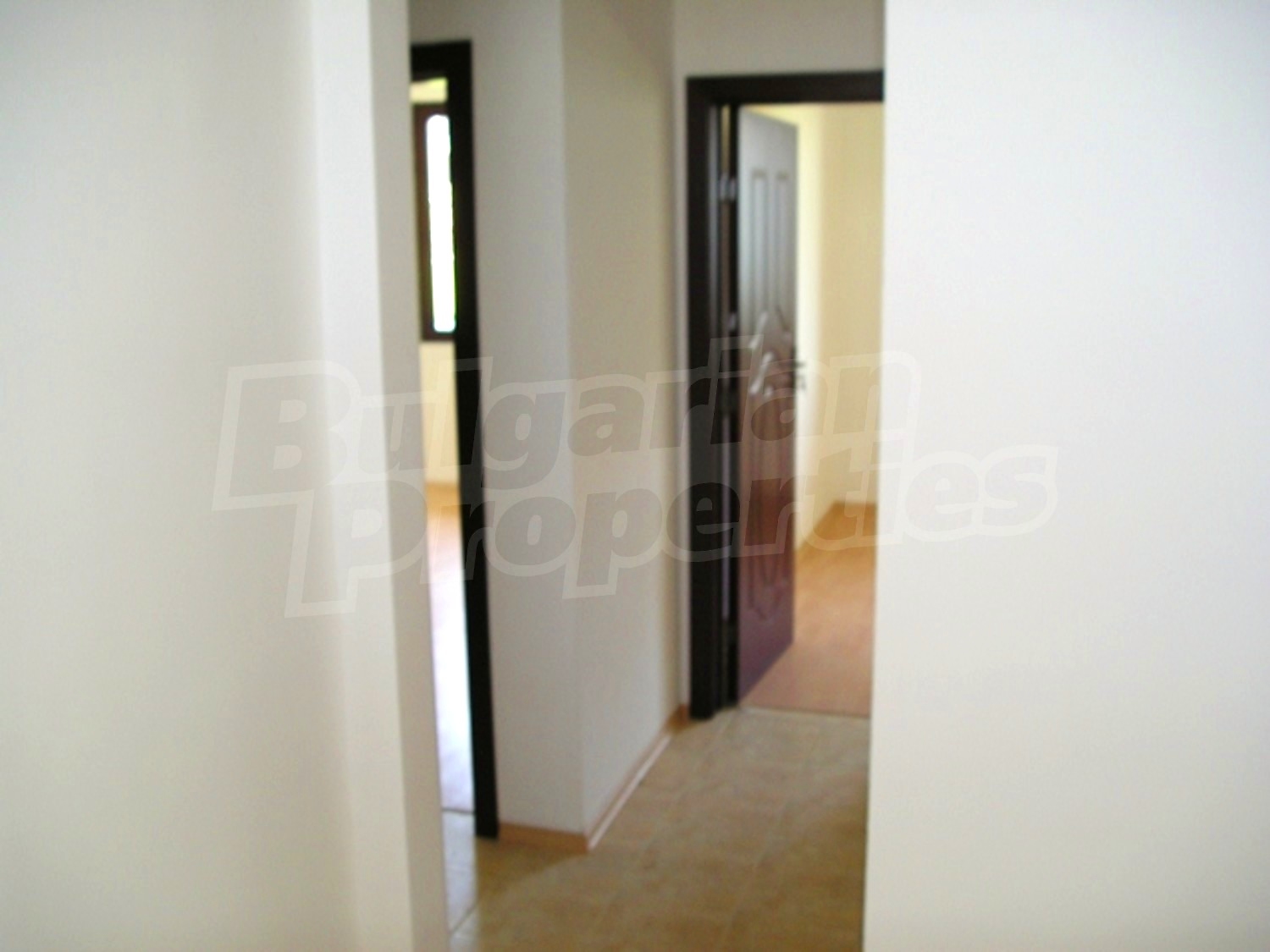 Gallery Picture 12