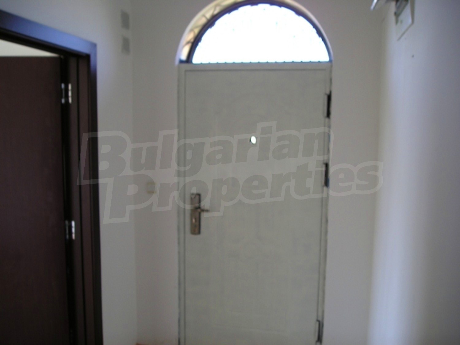 Gallery Picture 14