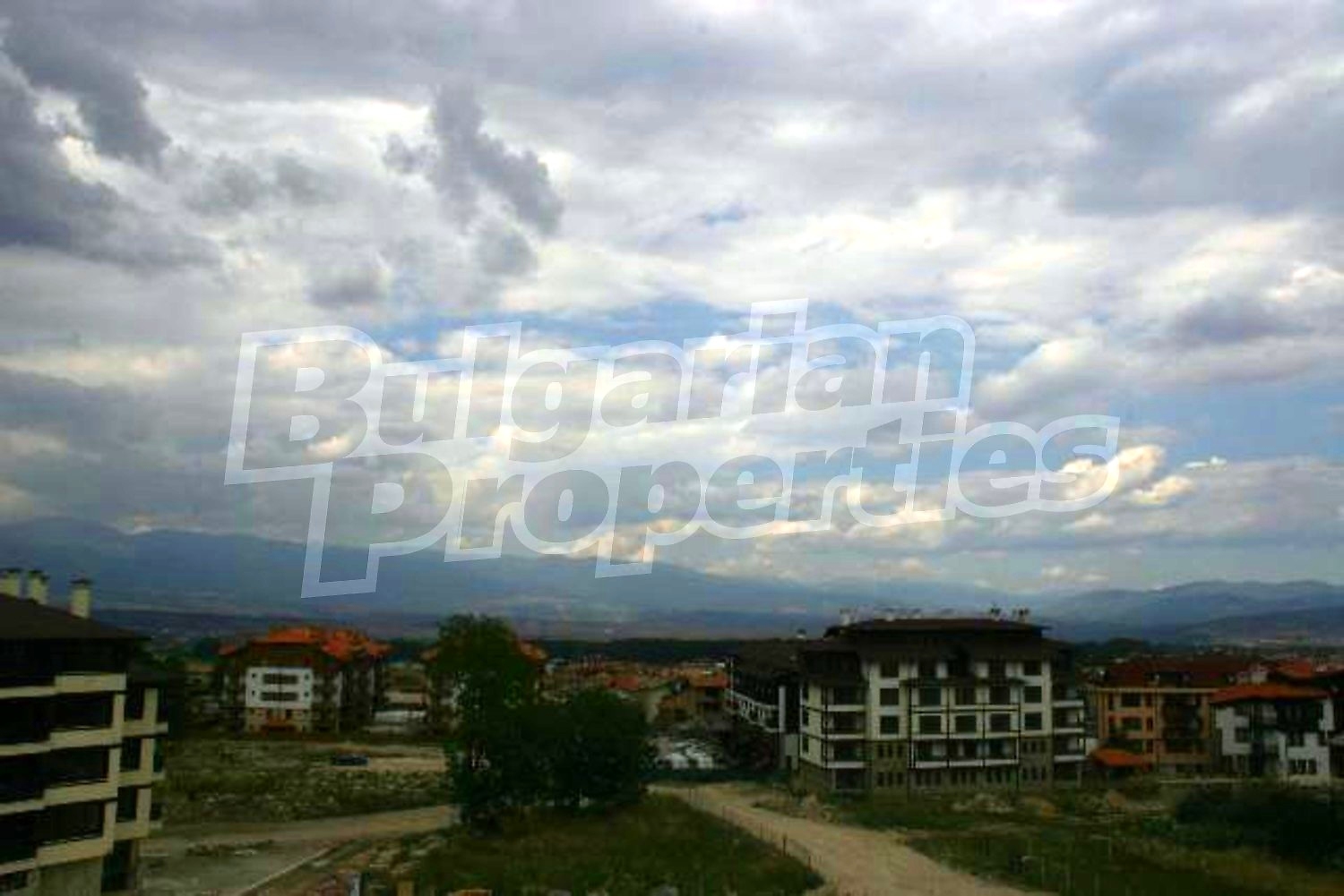 Gallery Picture 10