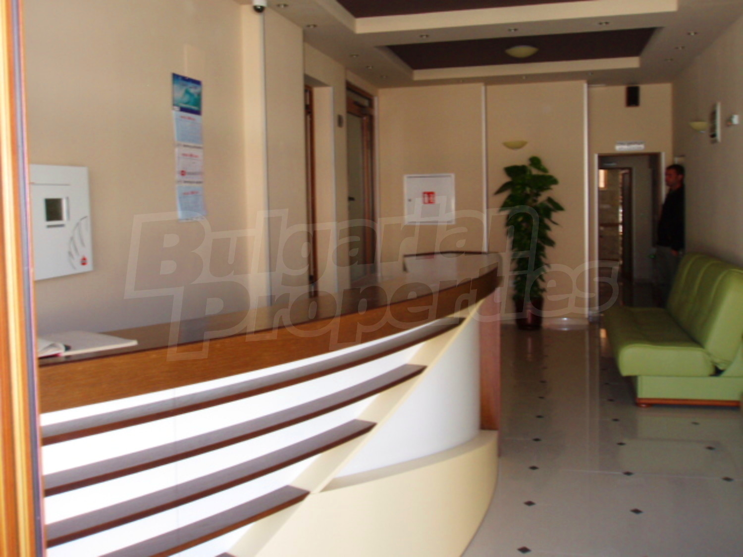 Gallery Picture 15