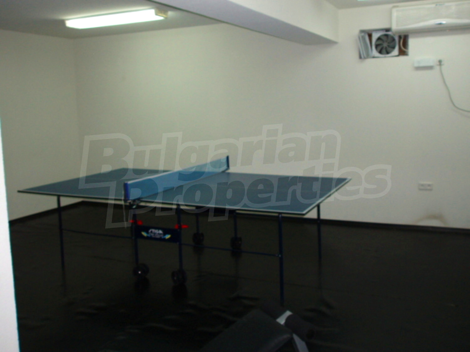 Gallery Picture 20