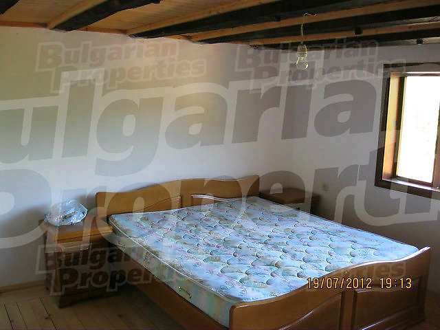 Gallery Picture 11