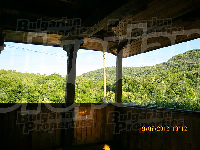 Gallery Picture 19