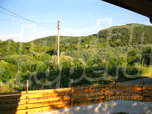 Gallery Picture 20
