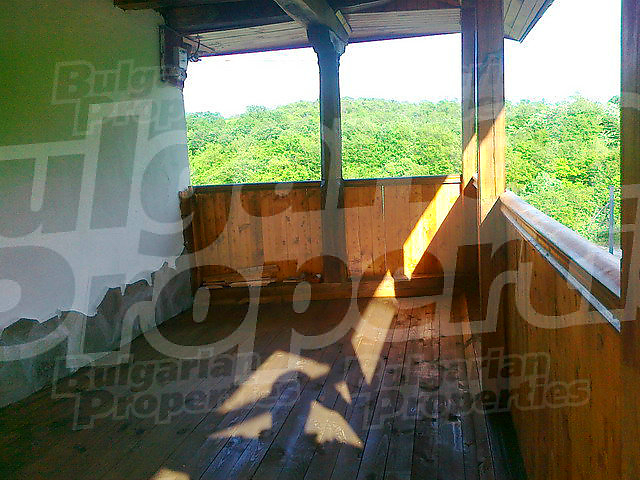 Gallery Picture 28