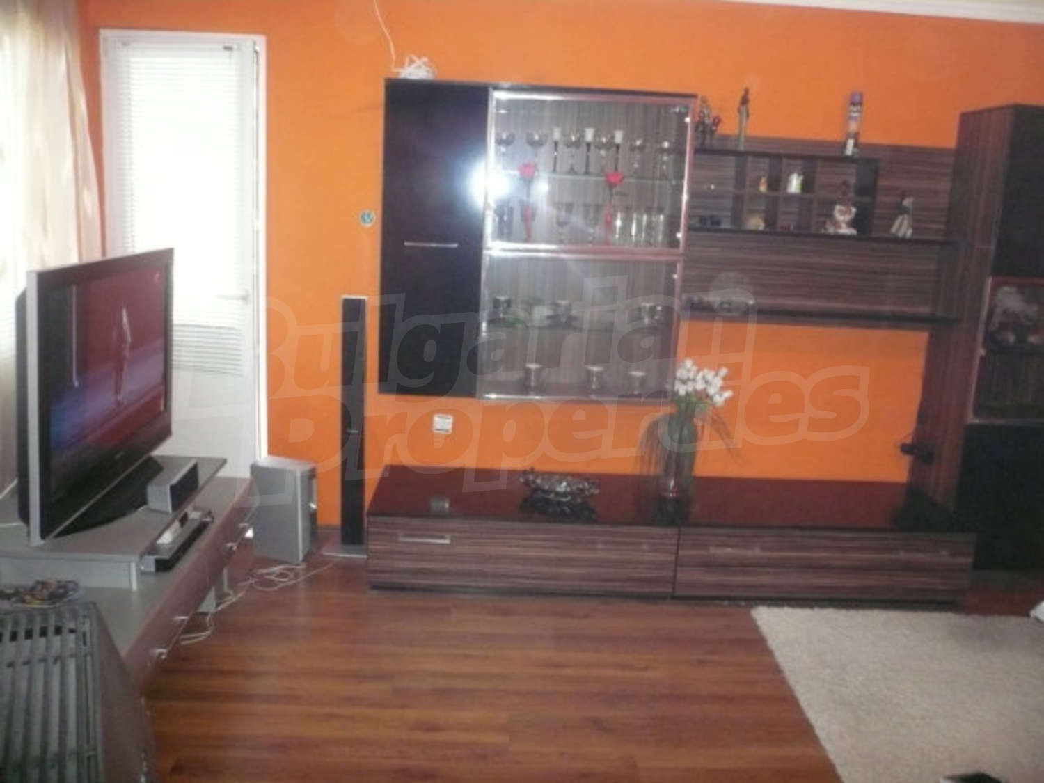 Gallery Picture 13