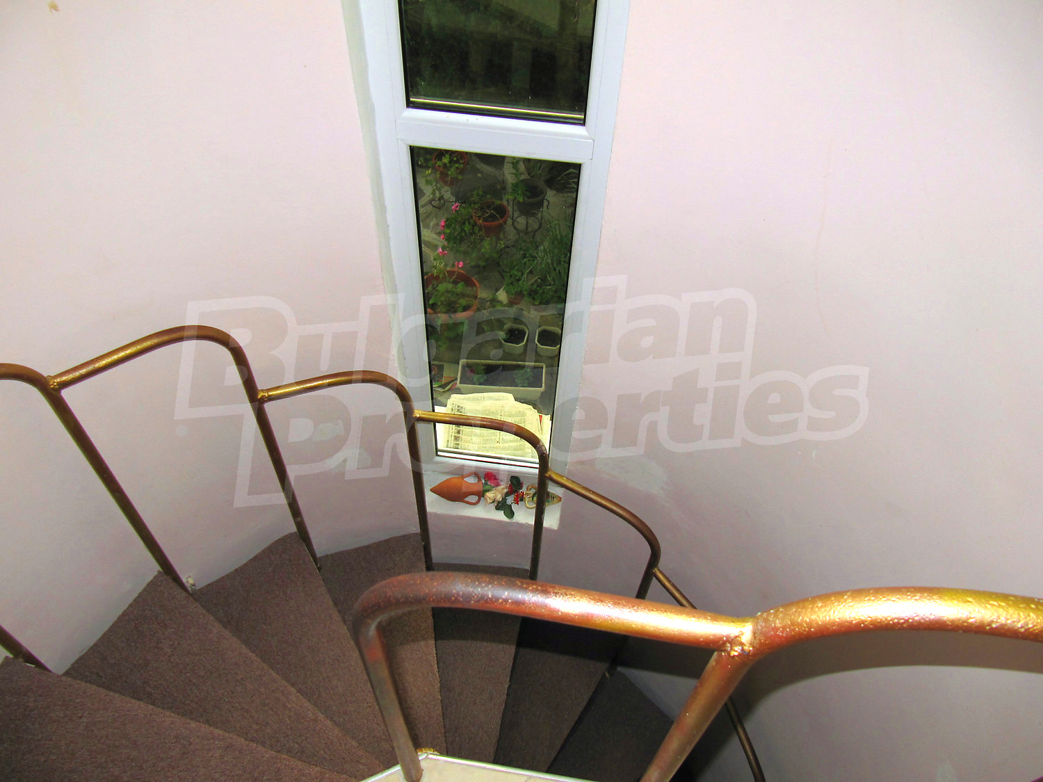 Gallery Picture 19