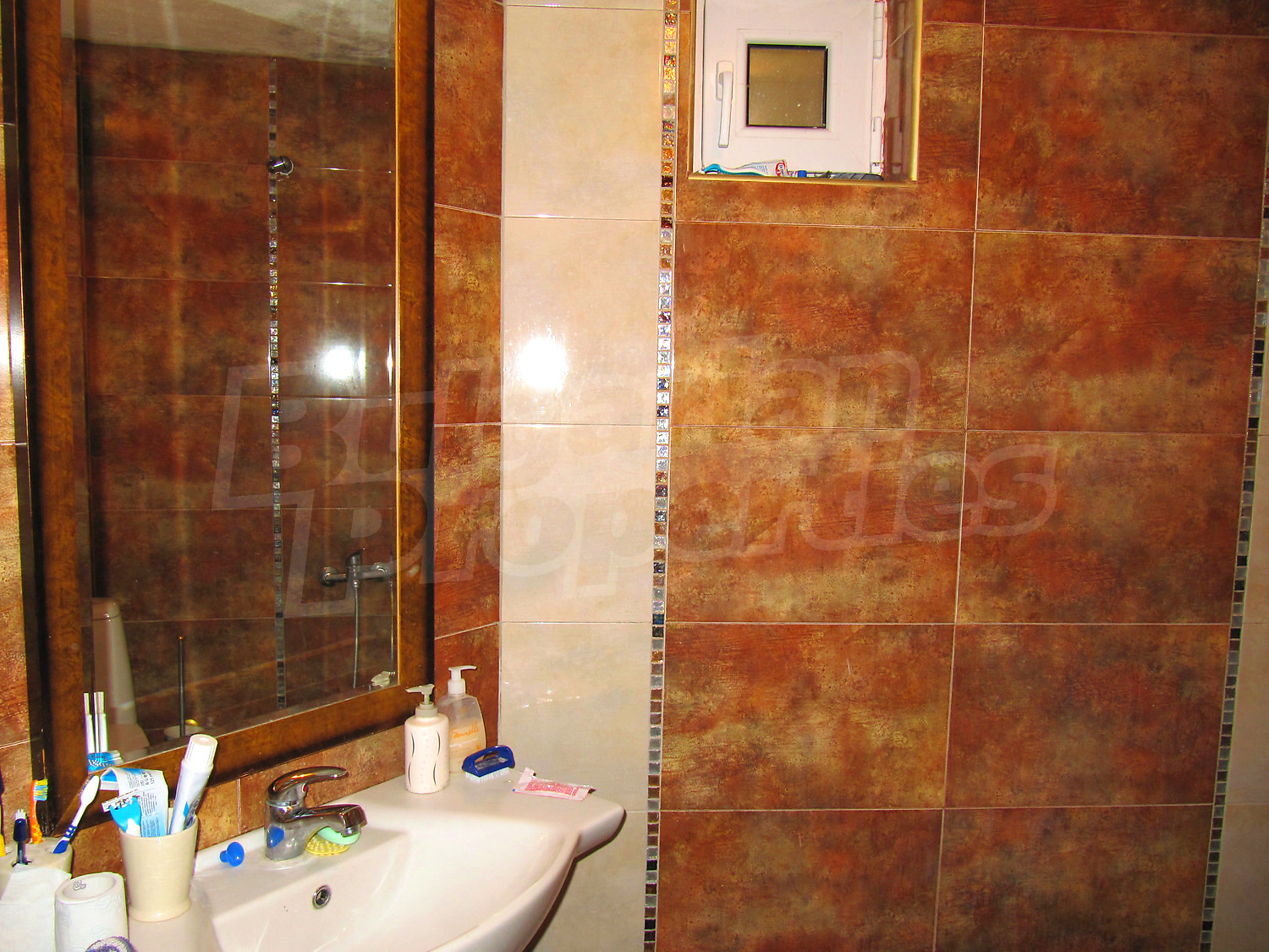 Gallery Picture 26