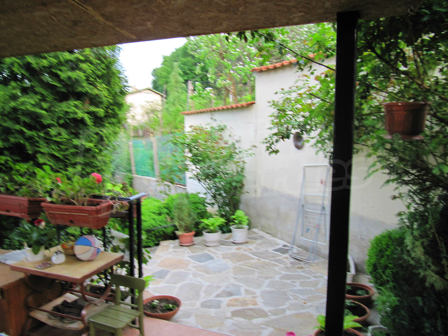 Gallery Picture 31
