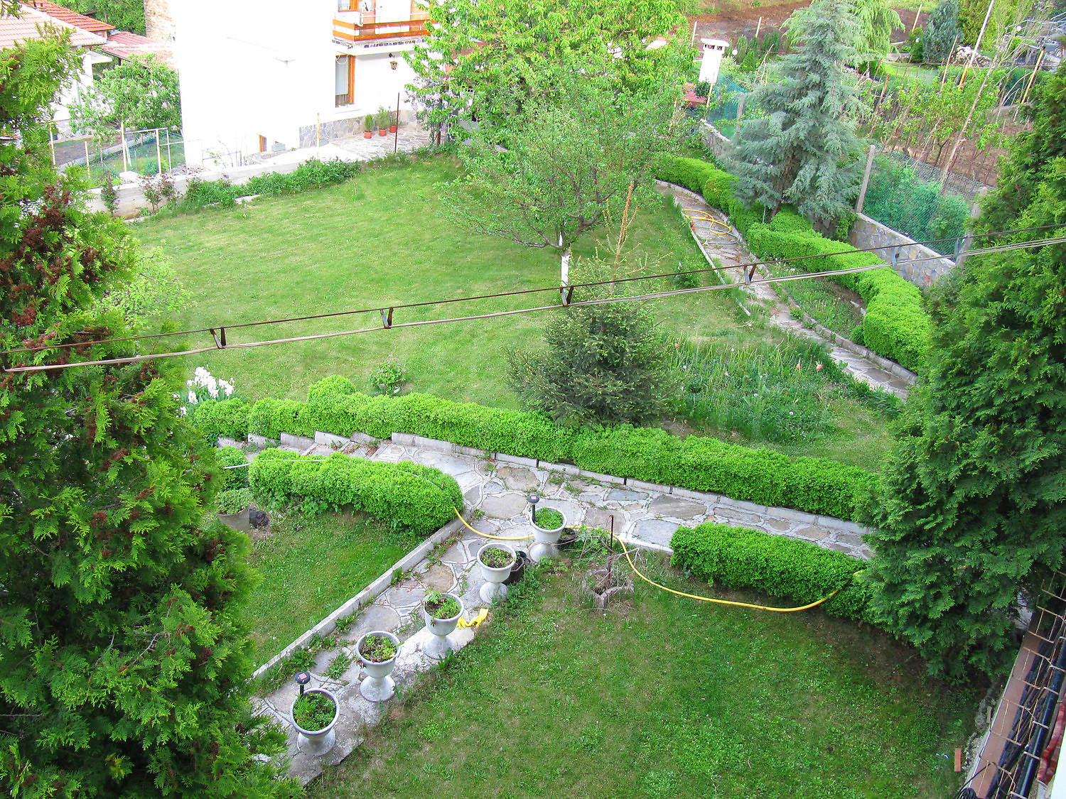 Gallery Picture 38