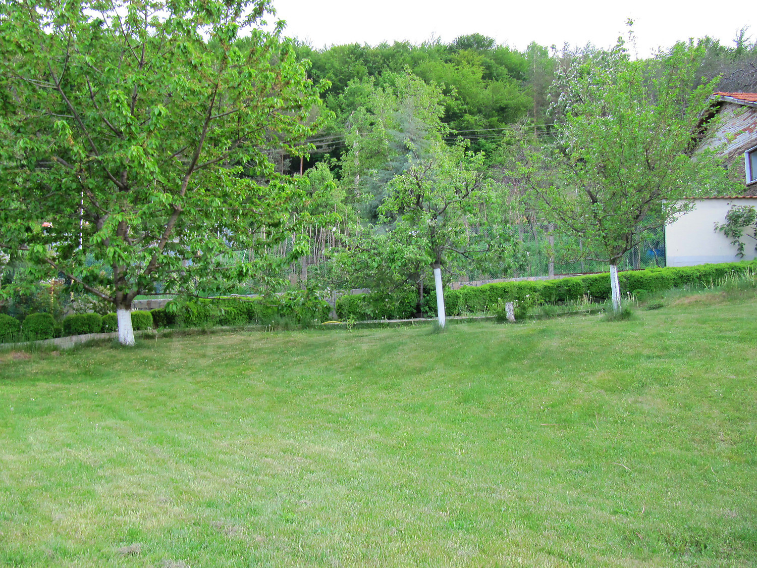 Gallery Picture 56