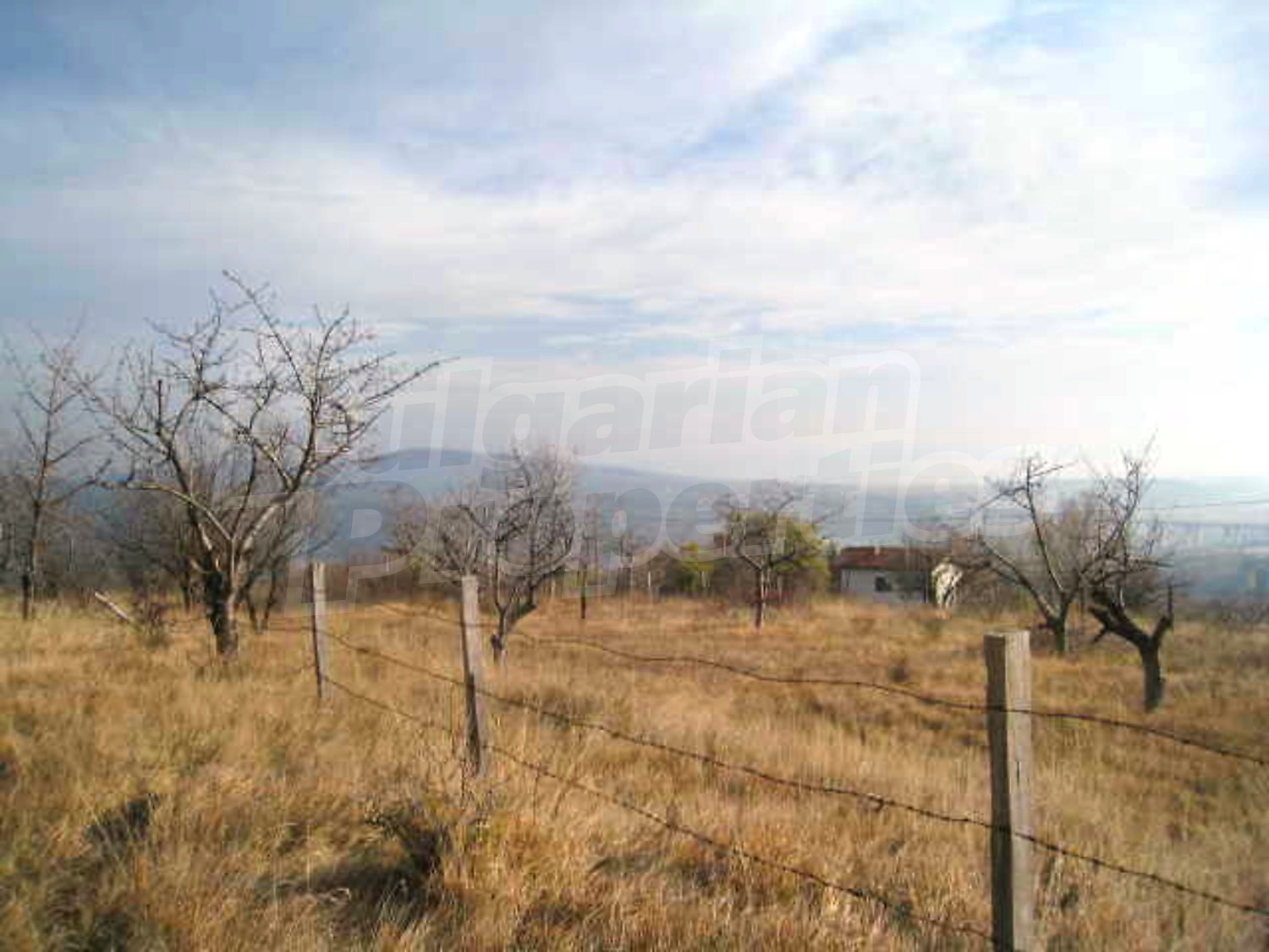 Gallery Picture 10