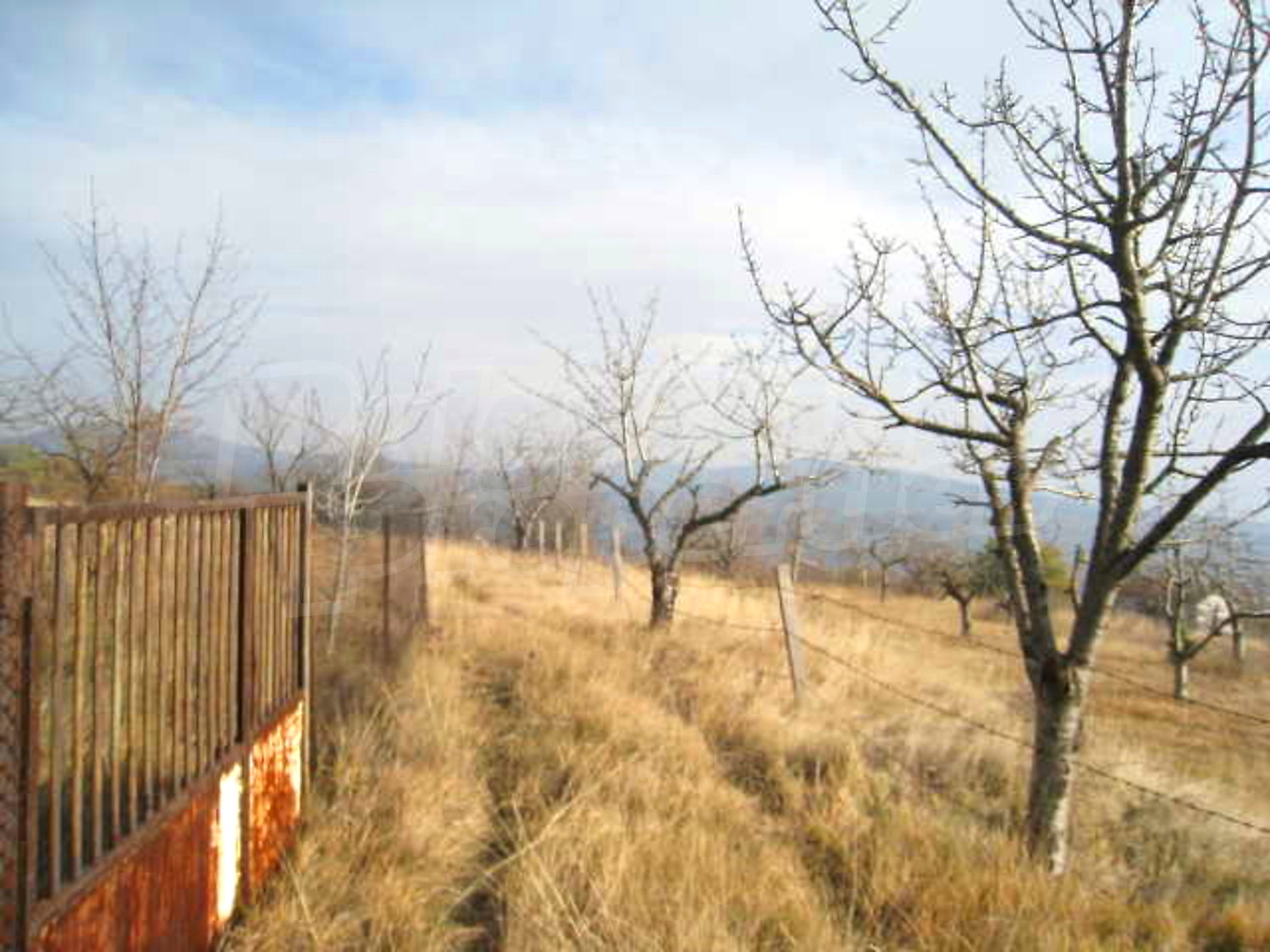 Gallery Picture 11