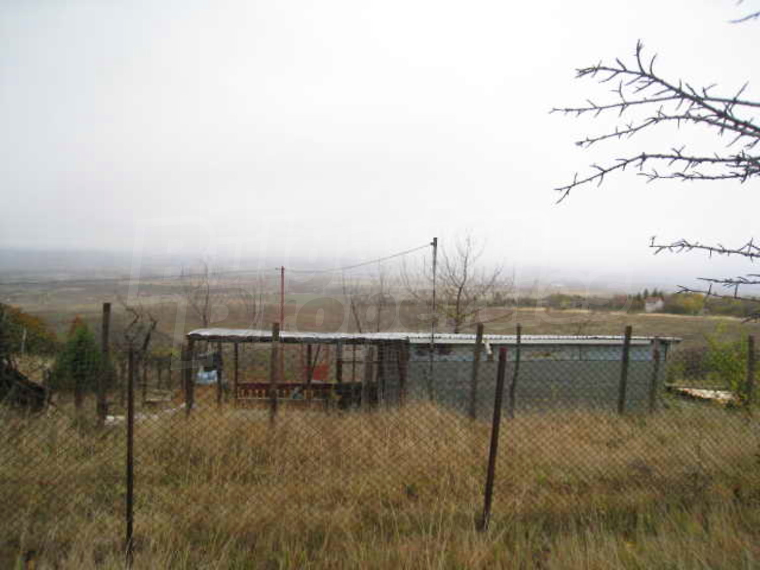 Gallery Picture 12