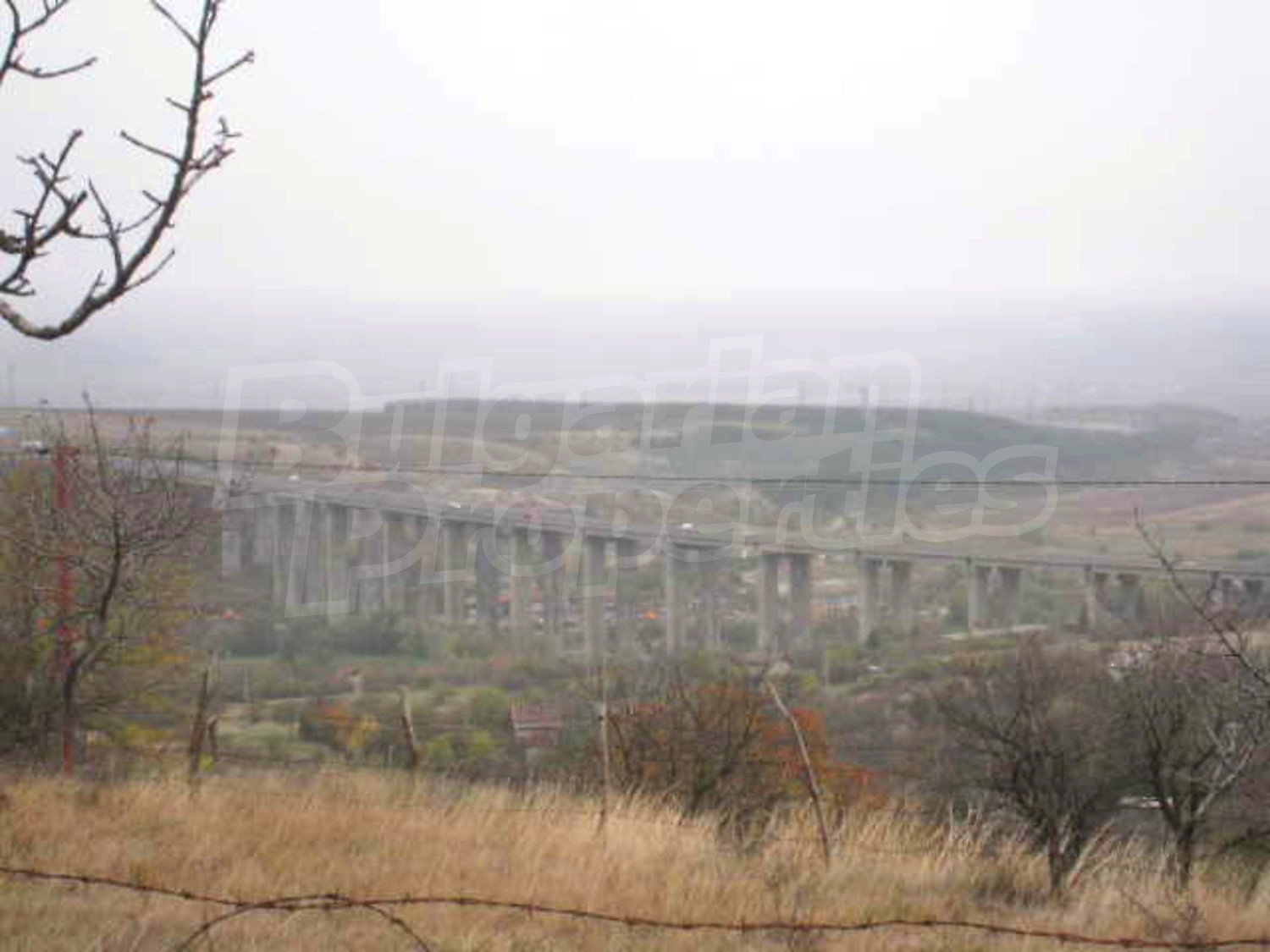 Gallery Picture 13
