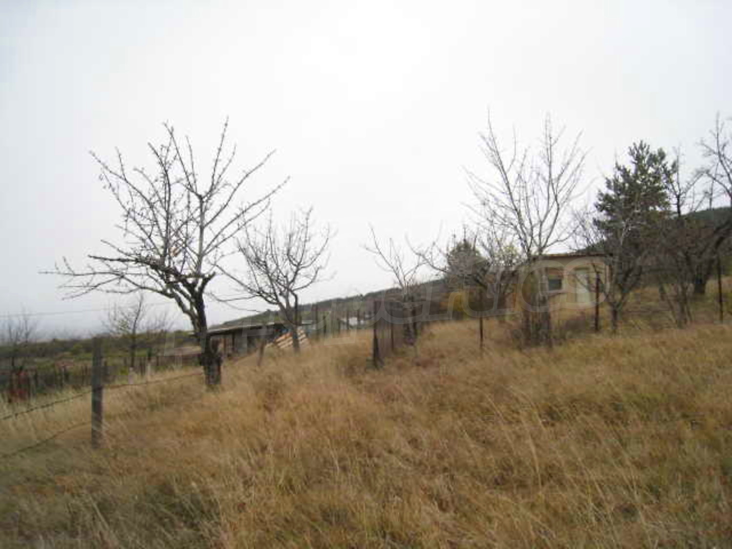Gallery Picture 6