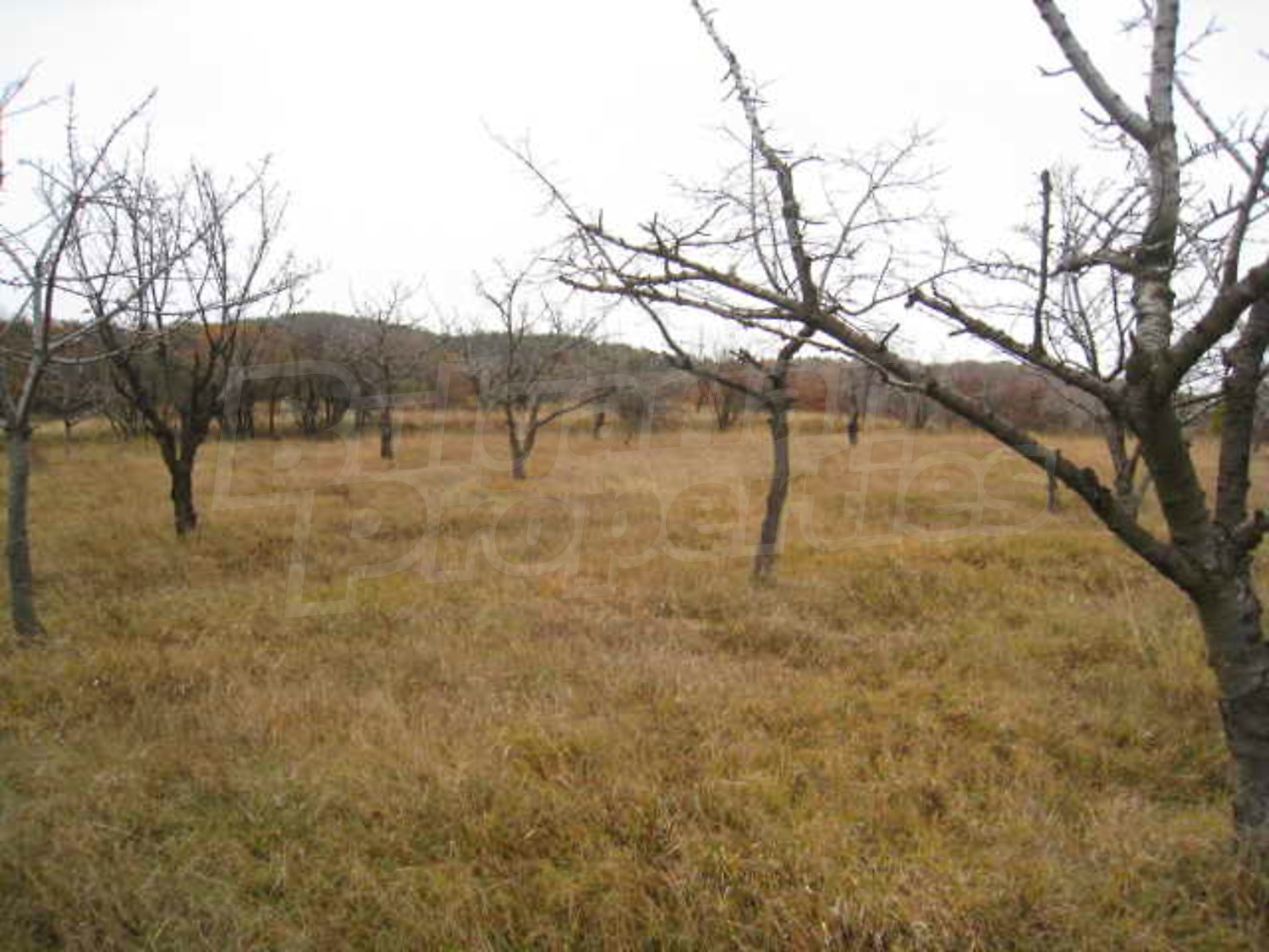 Gallery Picture 7
