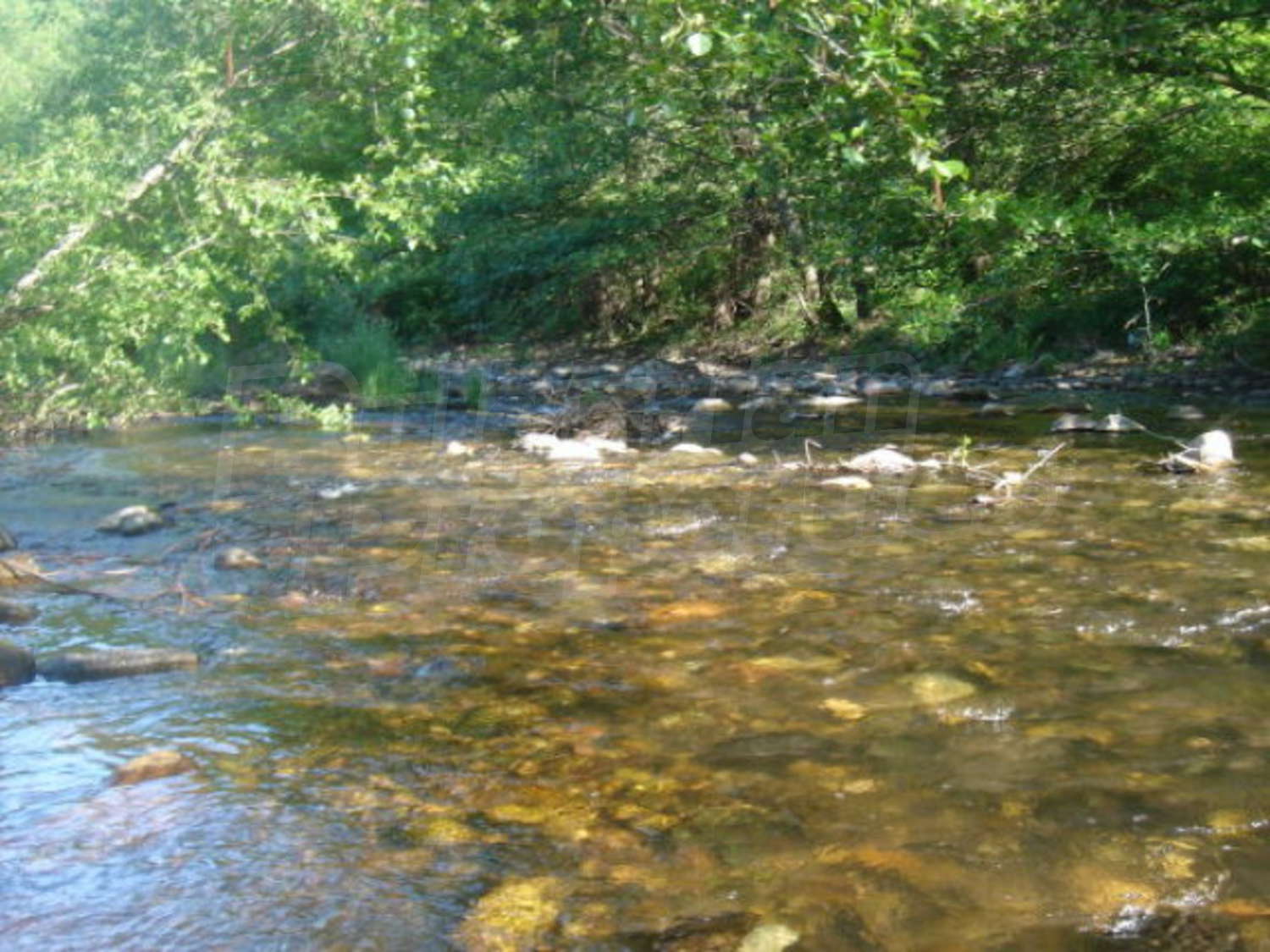 Gallery Picture 6