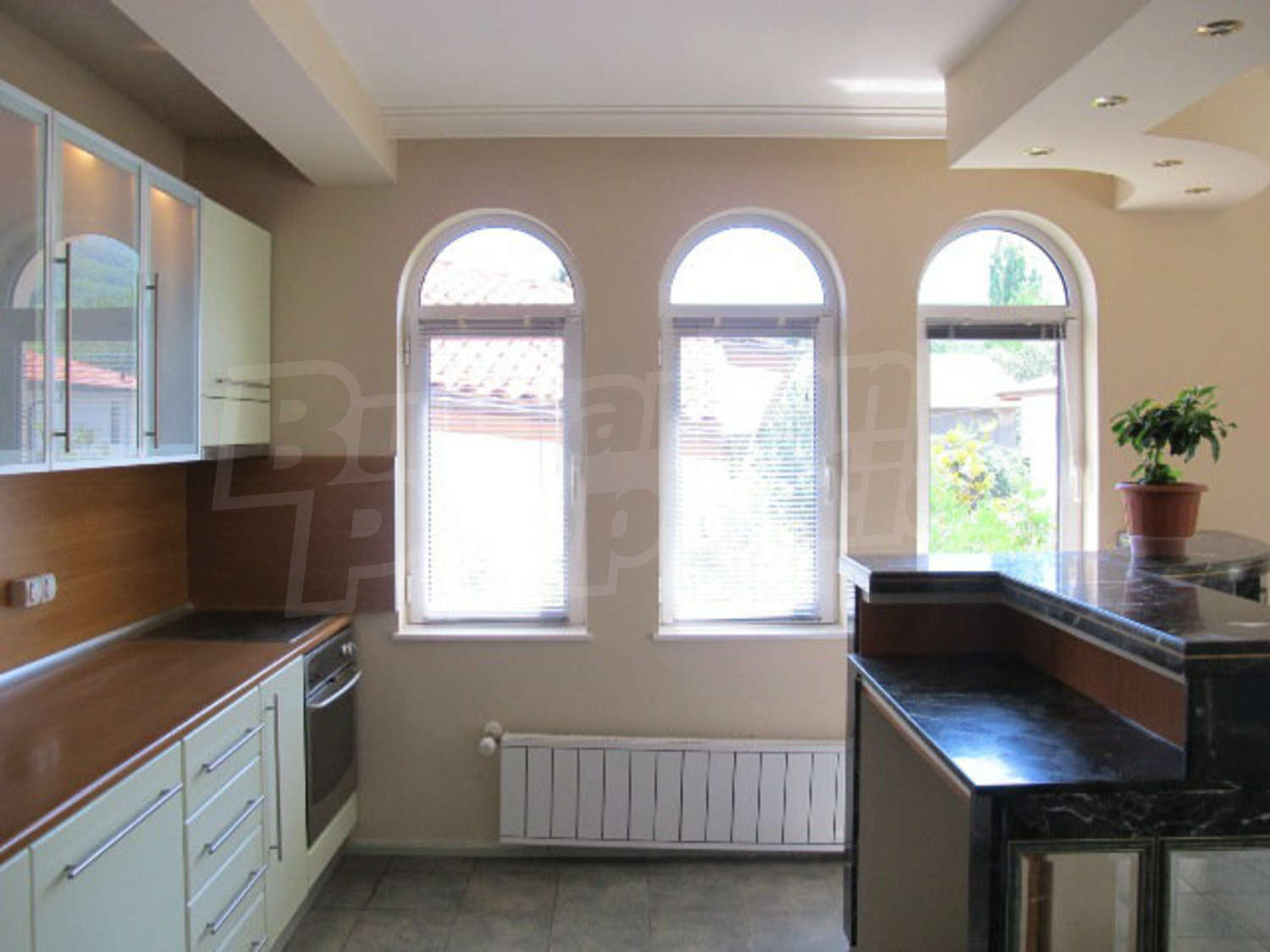 Gallery Picture 23
