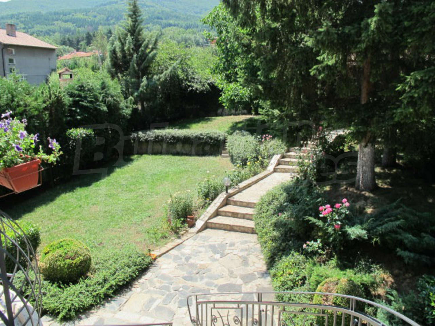 Gallery Picture 28