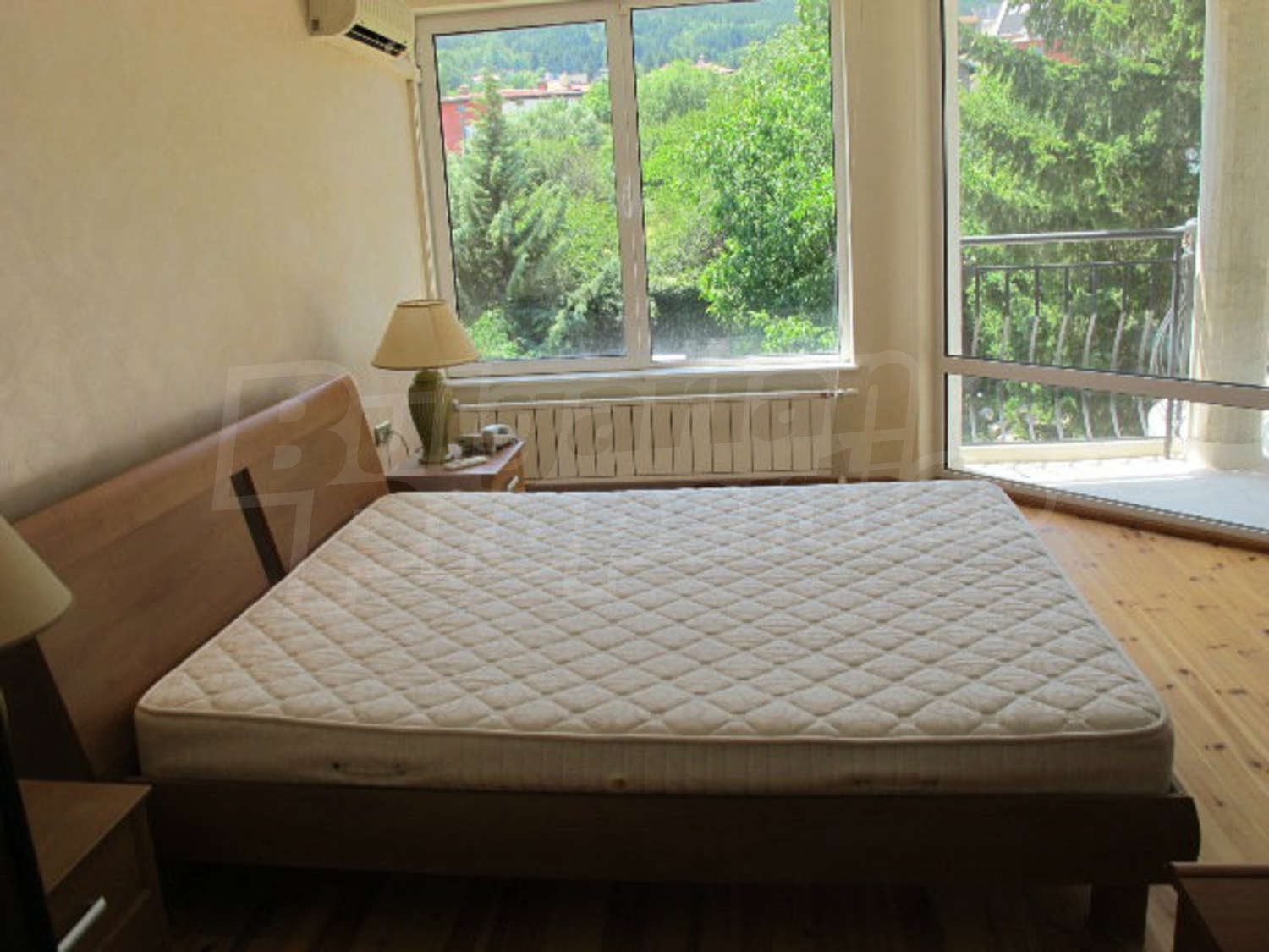 Gallery Picture 41