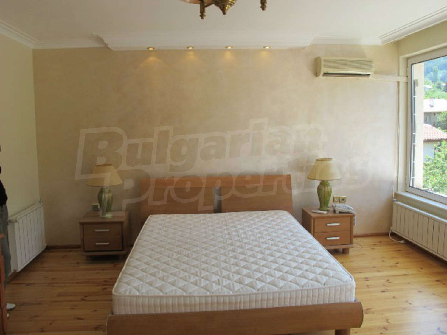 Gallery Picture 43