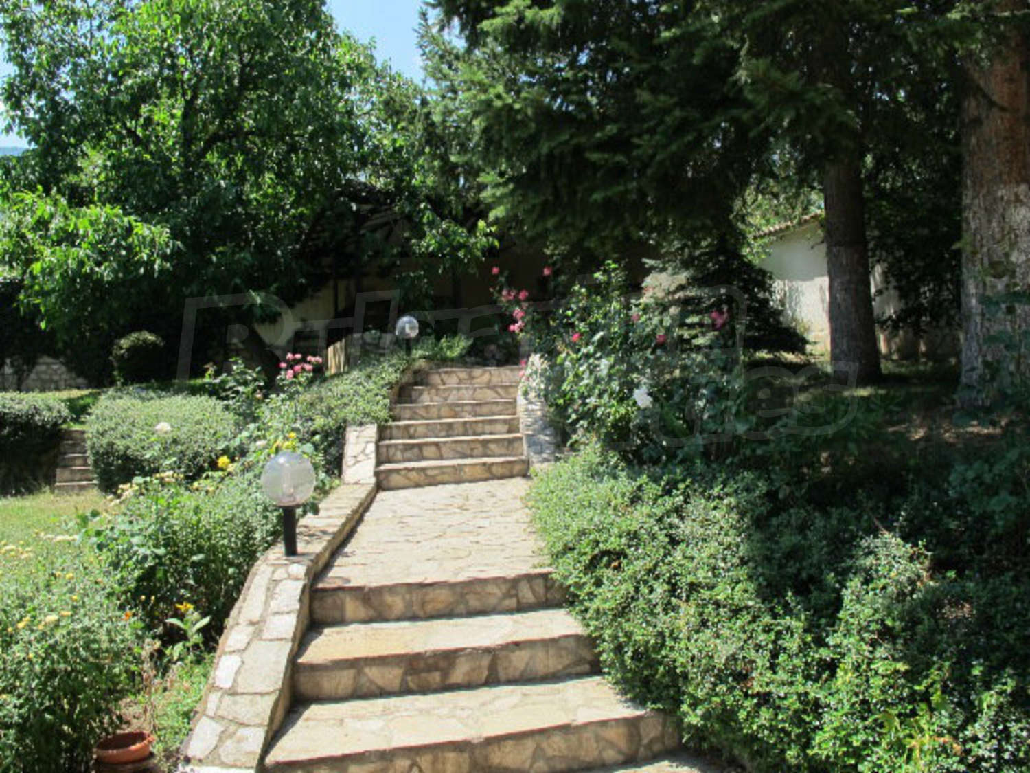 Gallery Picture 61