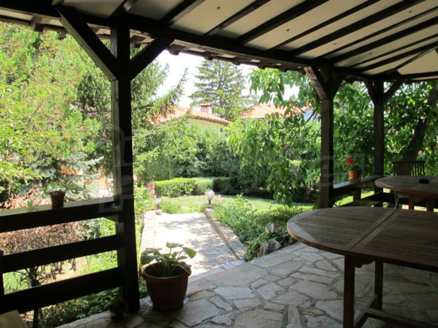 Gallery Picture 63