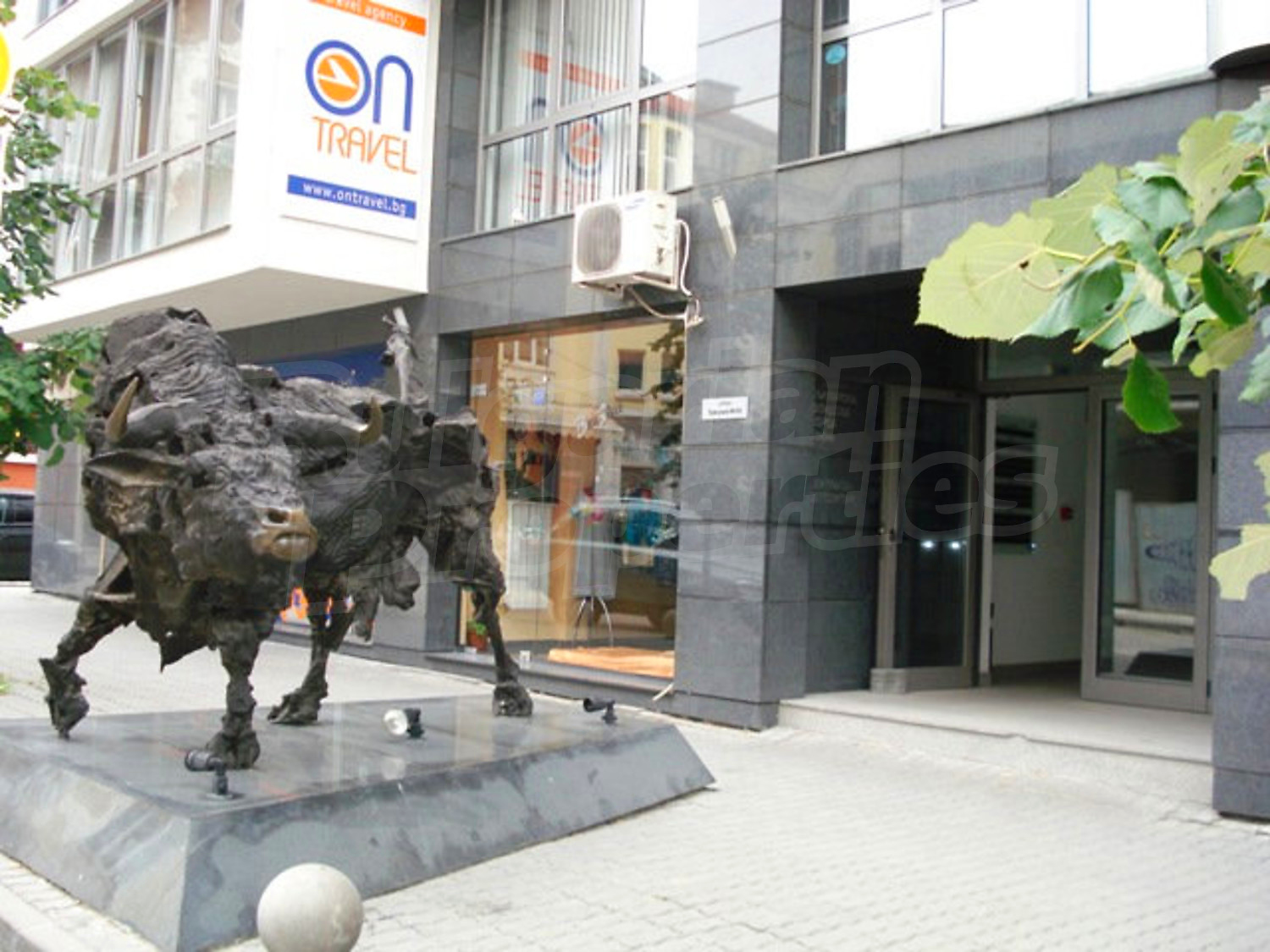 Gallery Picture 9