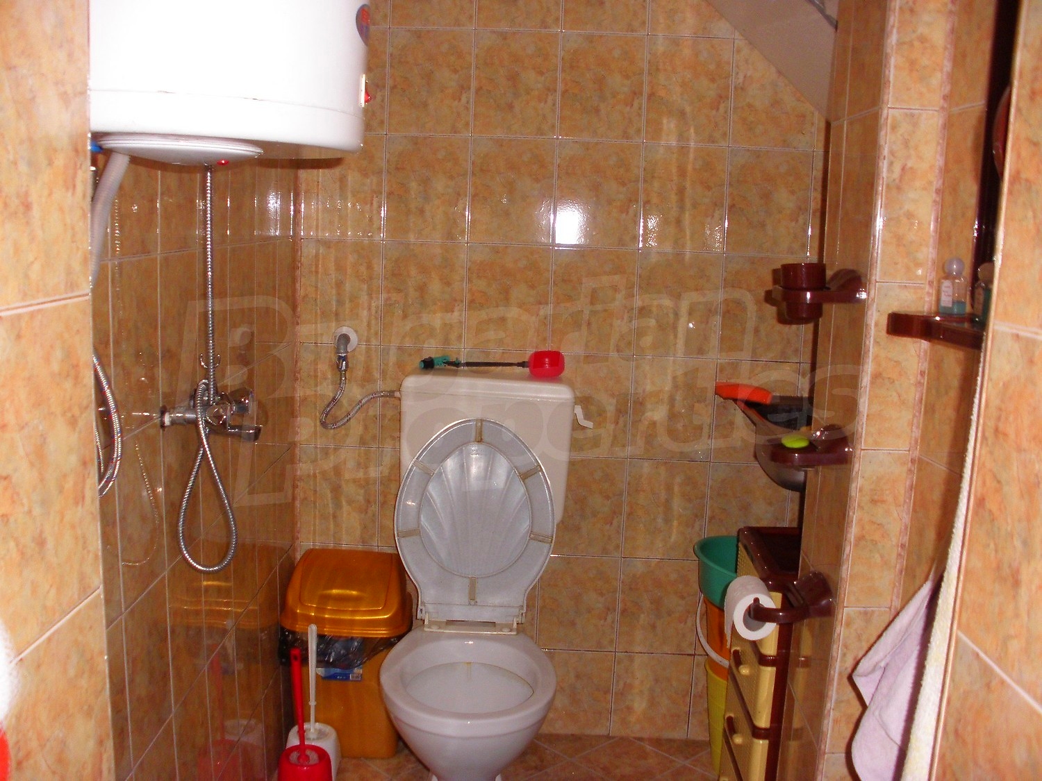 Gallery Picture 19