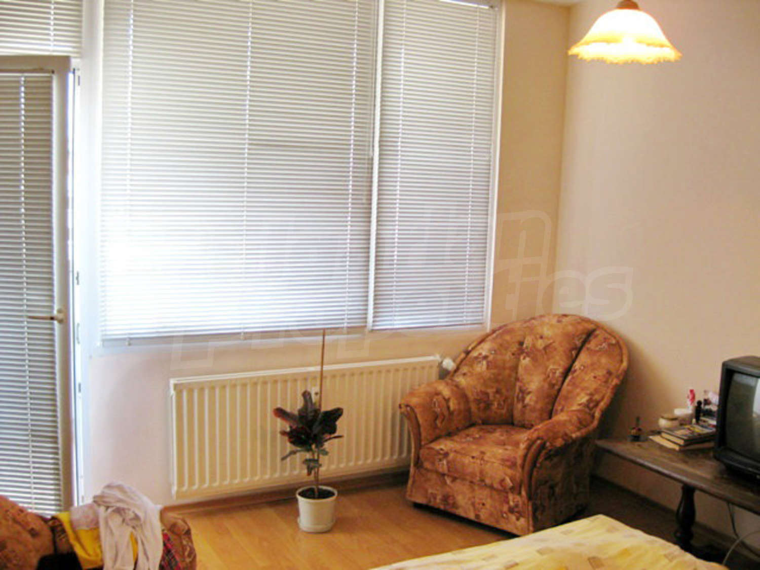 Gallery Picture 10