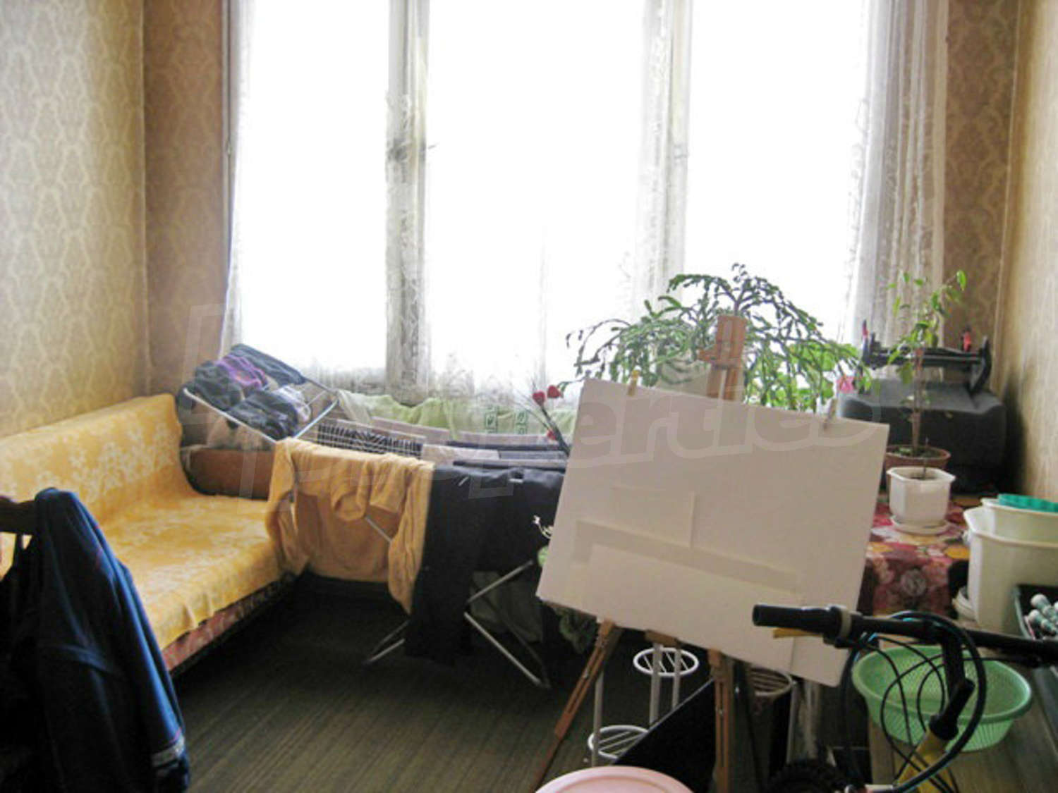 Gallery Picture 19