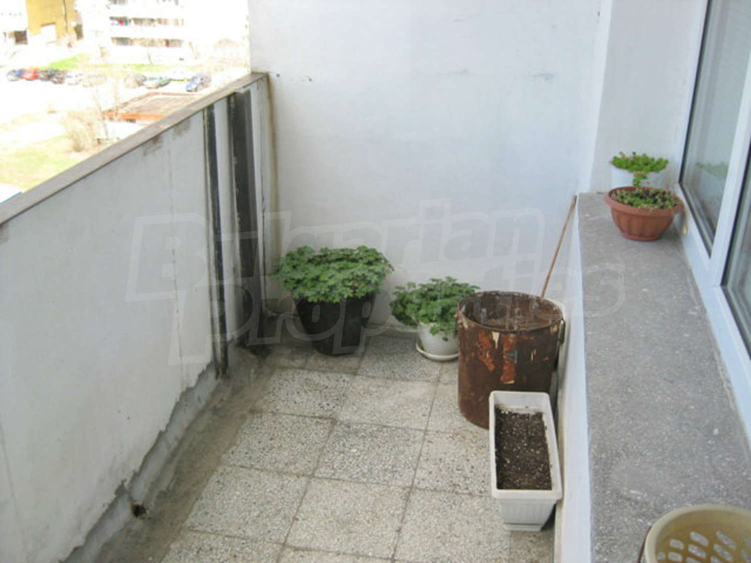 Gallery Picture 21