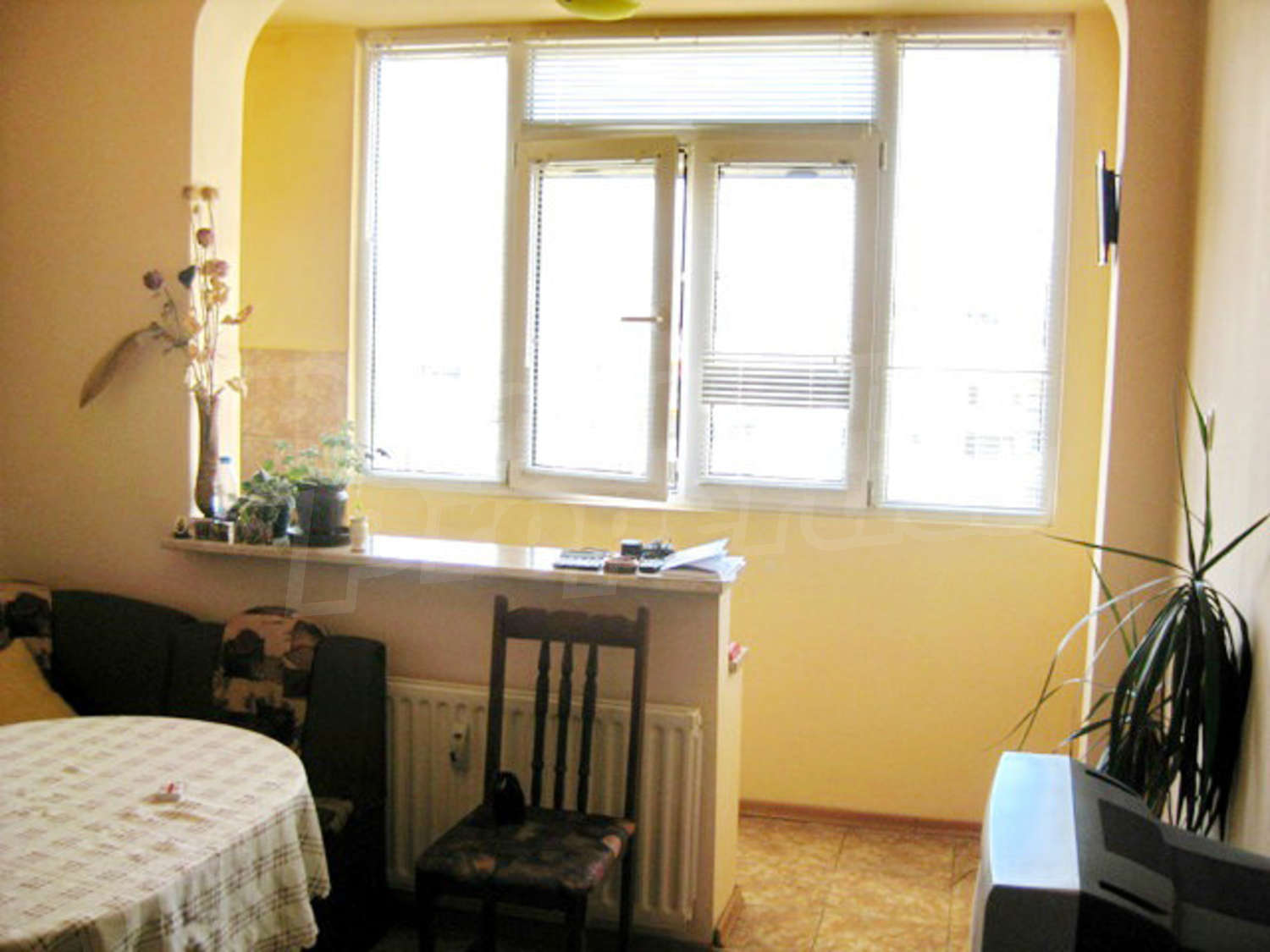 Gallery Picture 3