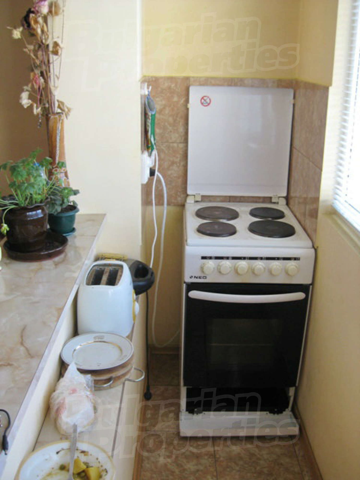 Gallery Picture 7