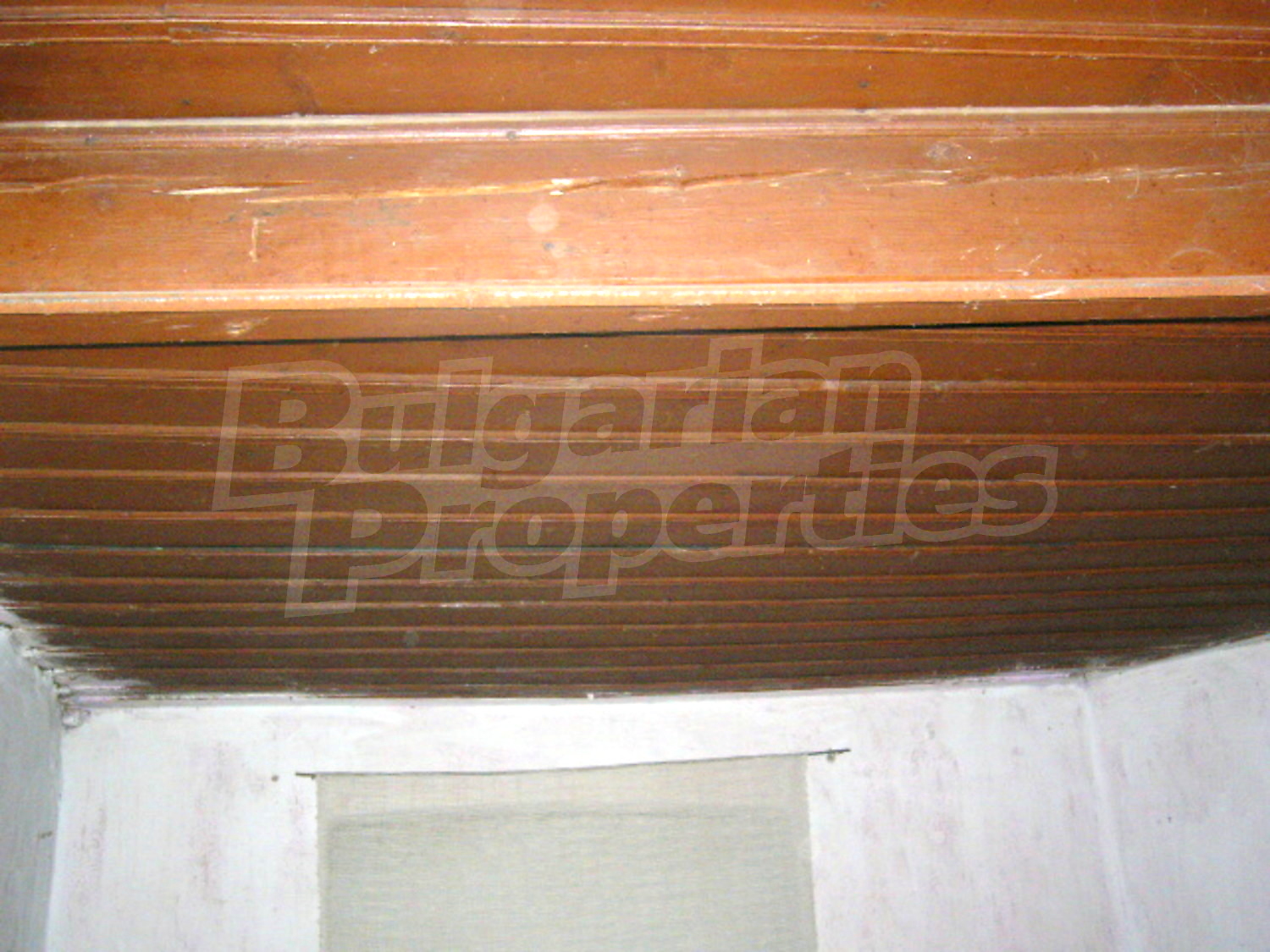Gallery Picture 5