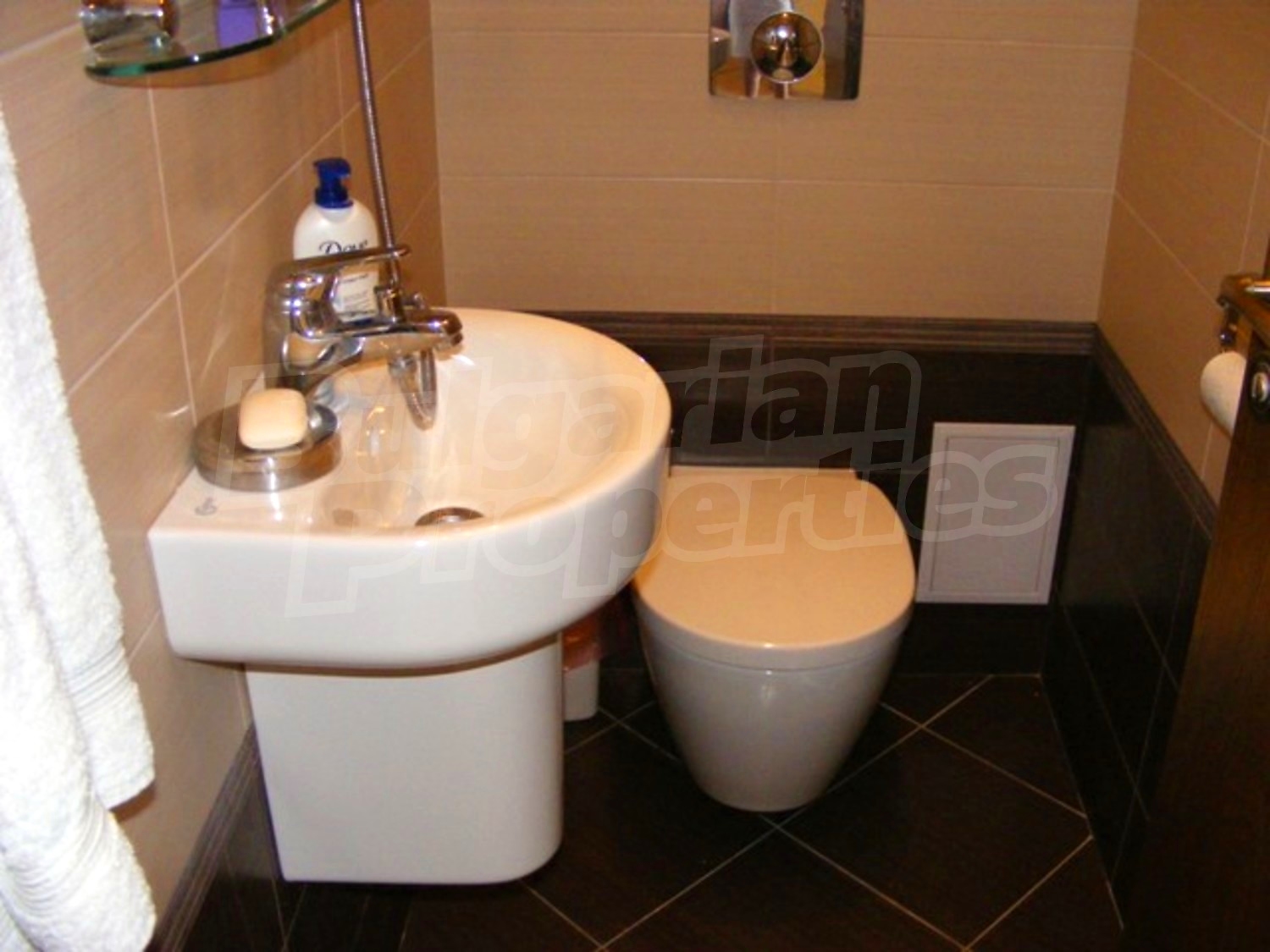 Gallery Picture 12