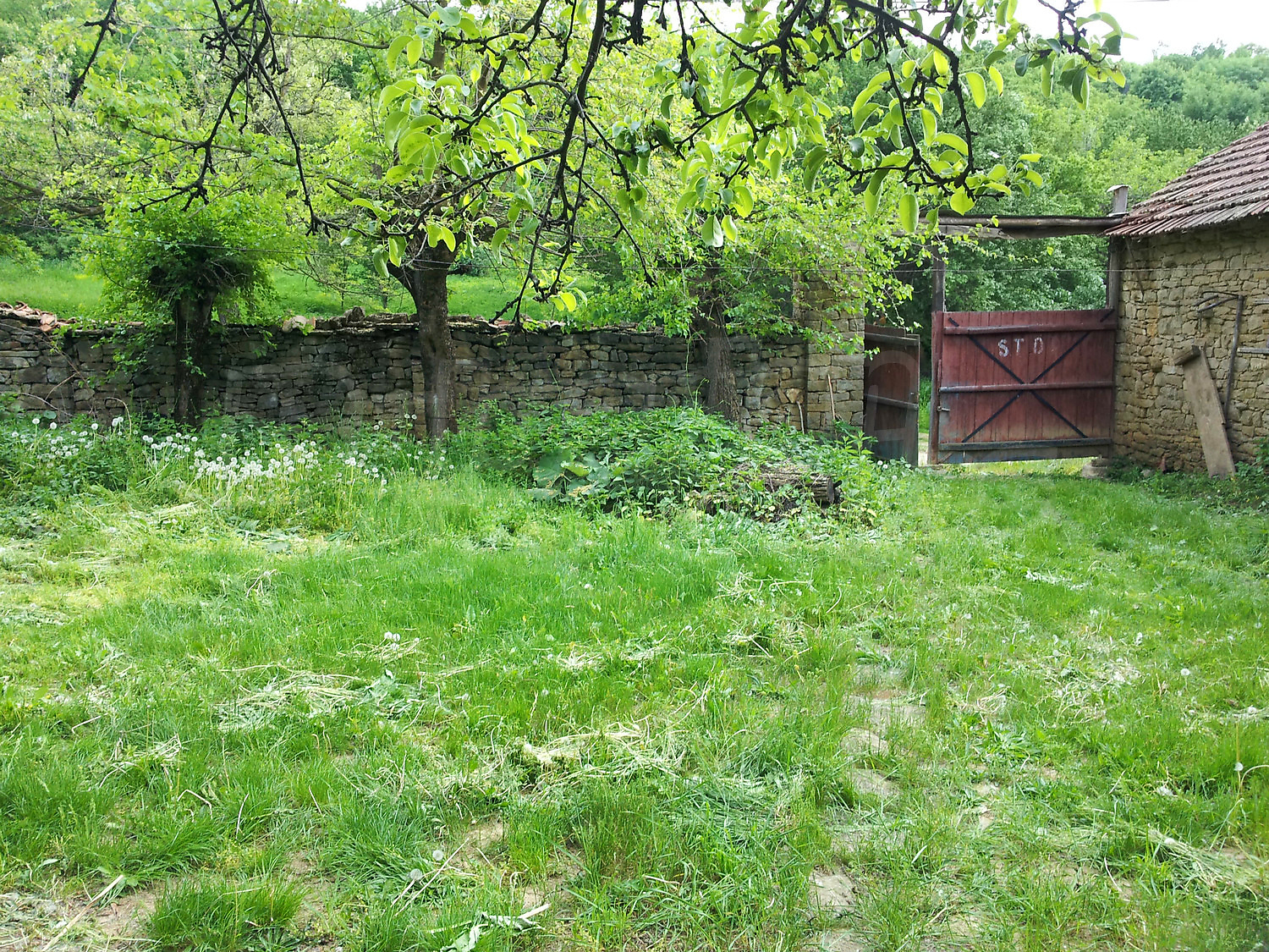 Gallery Picture 22