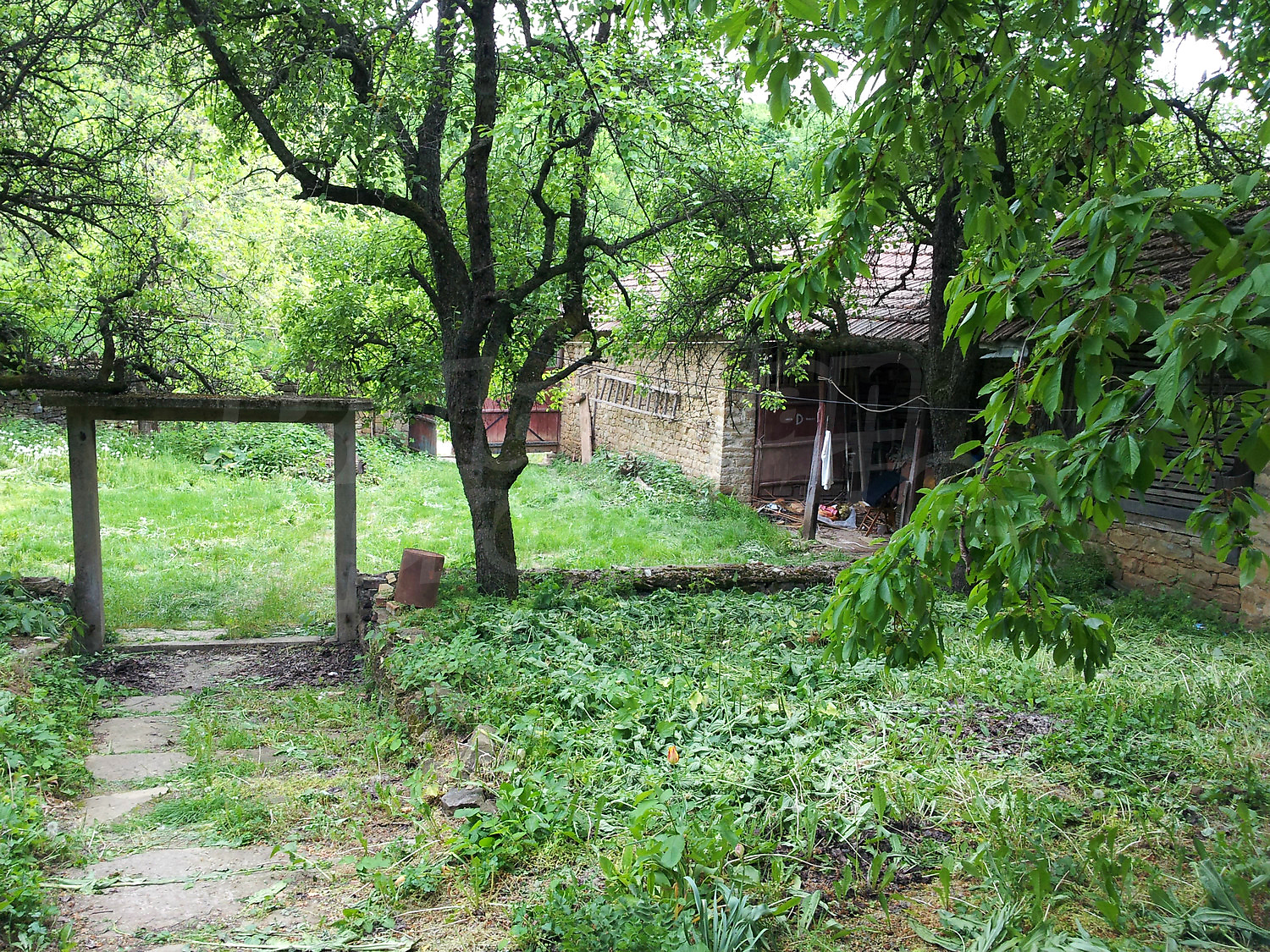 Gallery Picture 32