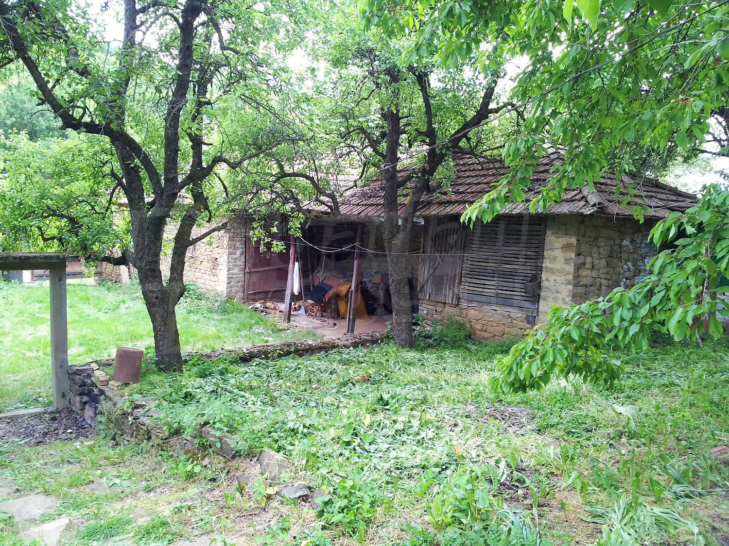 Gallery Picture 33