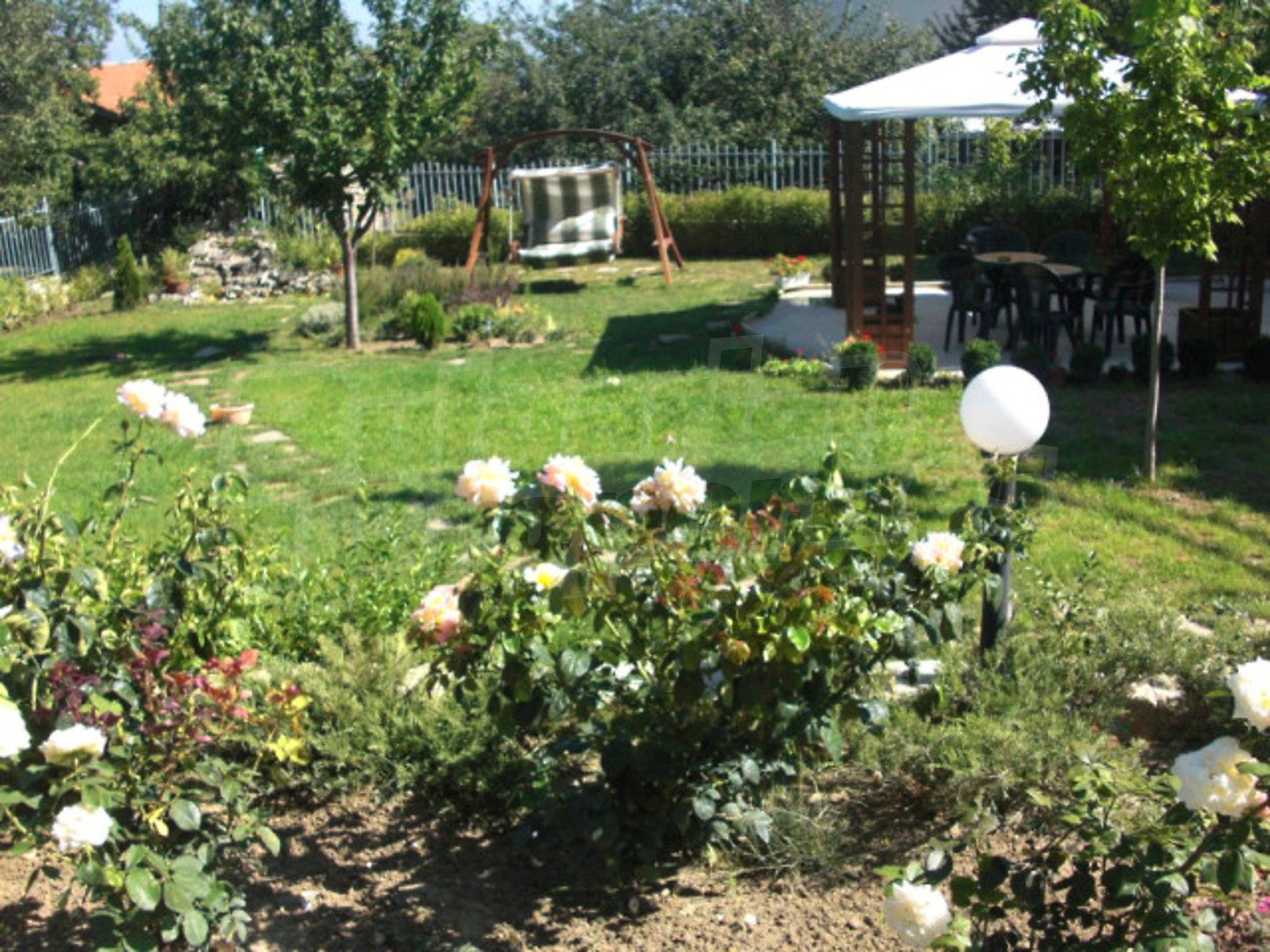 Gallery Picture 11