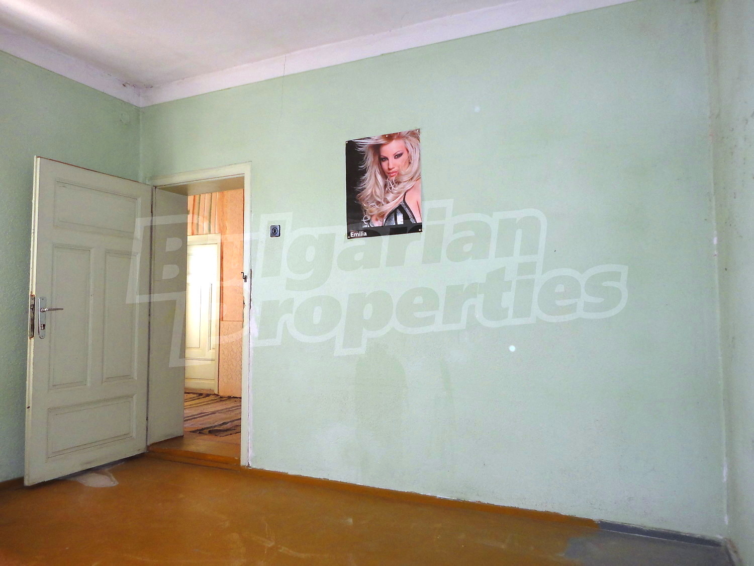 Gallery Picture 13