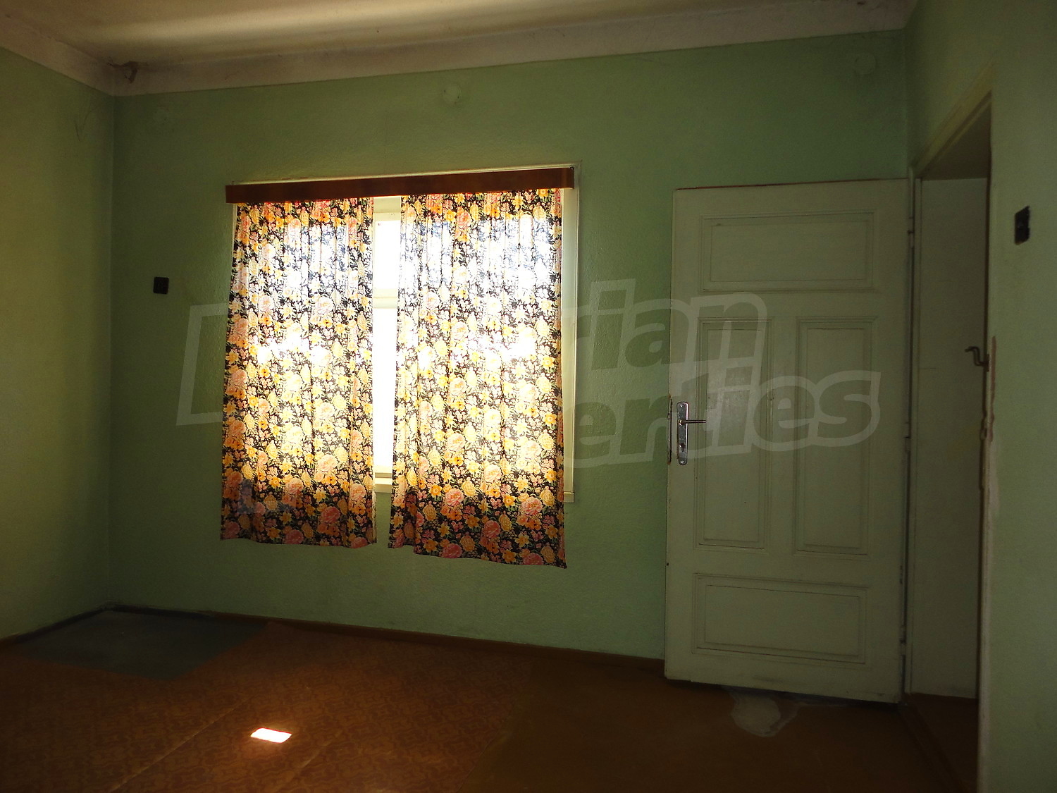 Gallery Picture 14