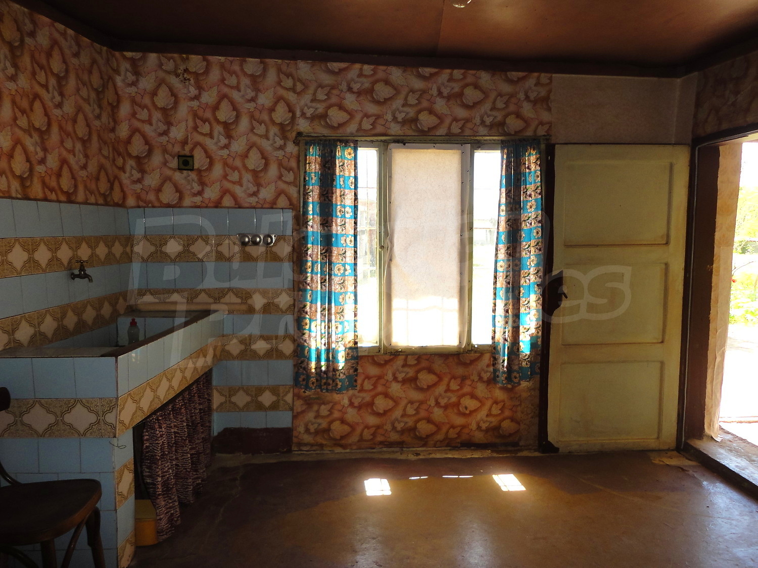 Gallery Picture 26